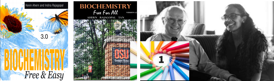 Free and Fun Online Educational Resources for Students and Educators 