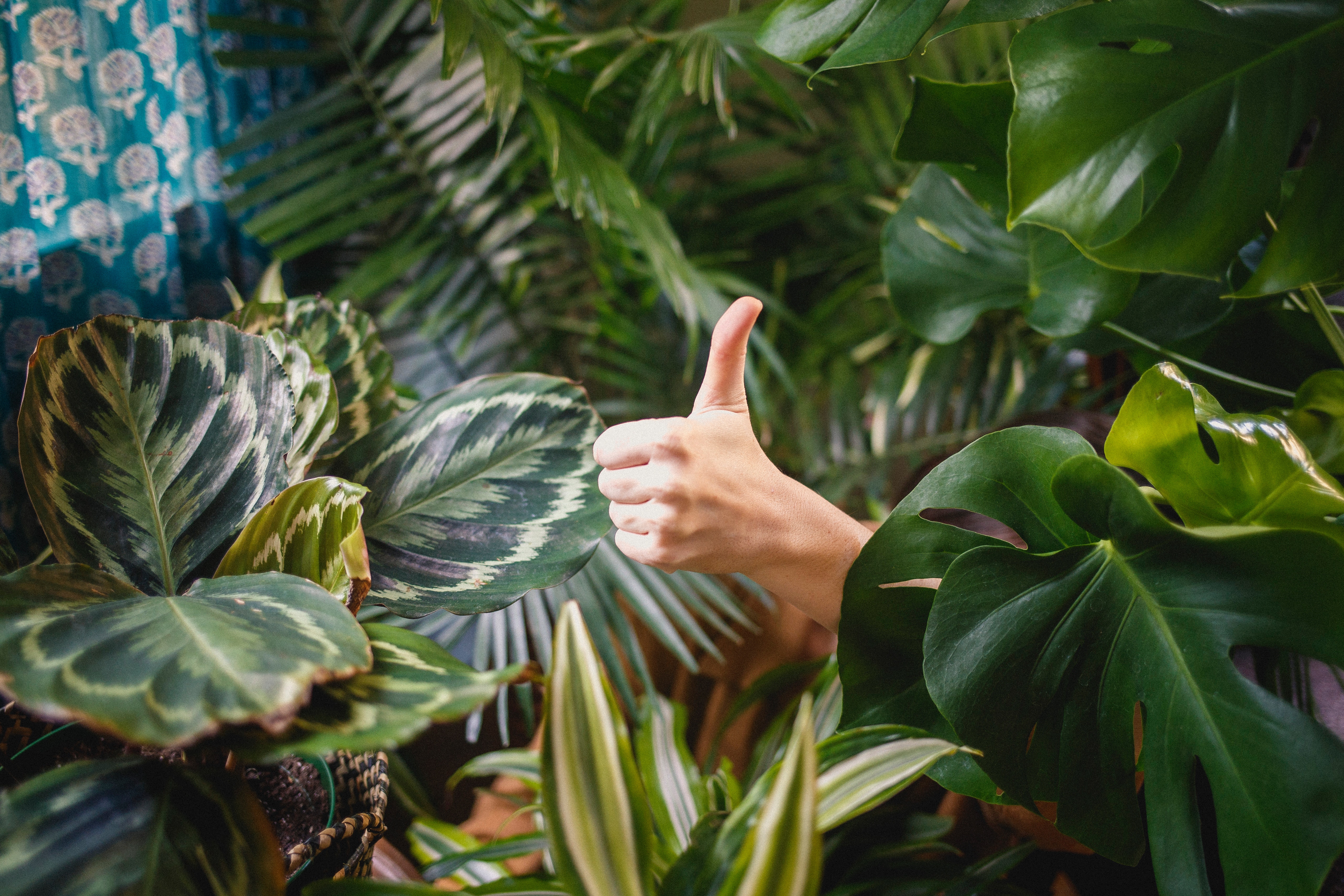 Online “engagement” - it’s meaningless if you’re not engaging the right people