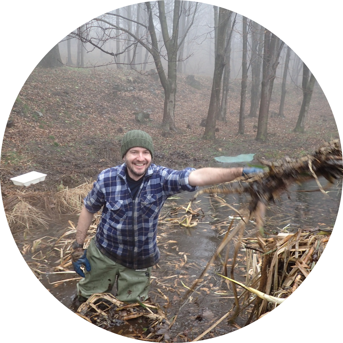 Go to the profile of Raoul Manenti