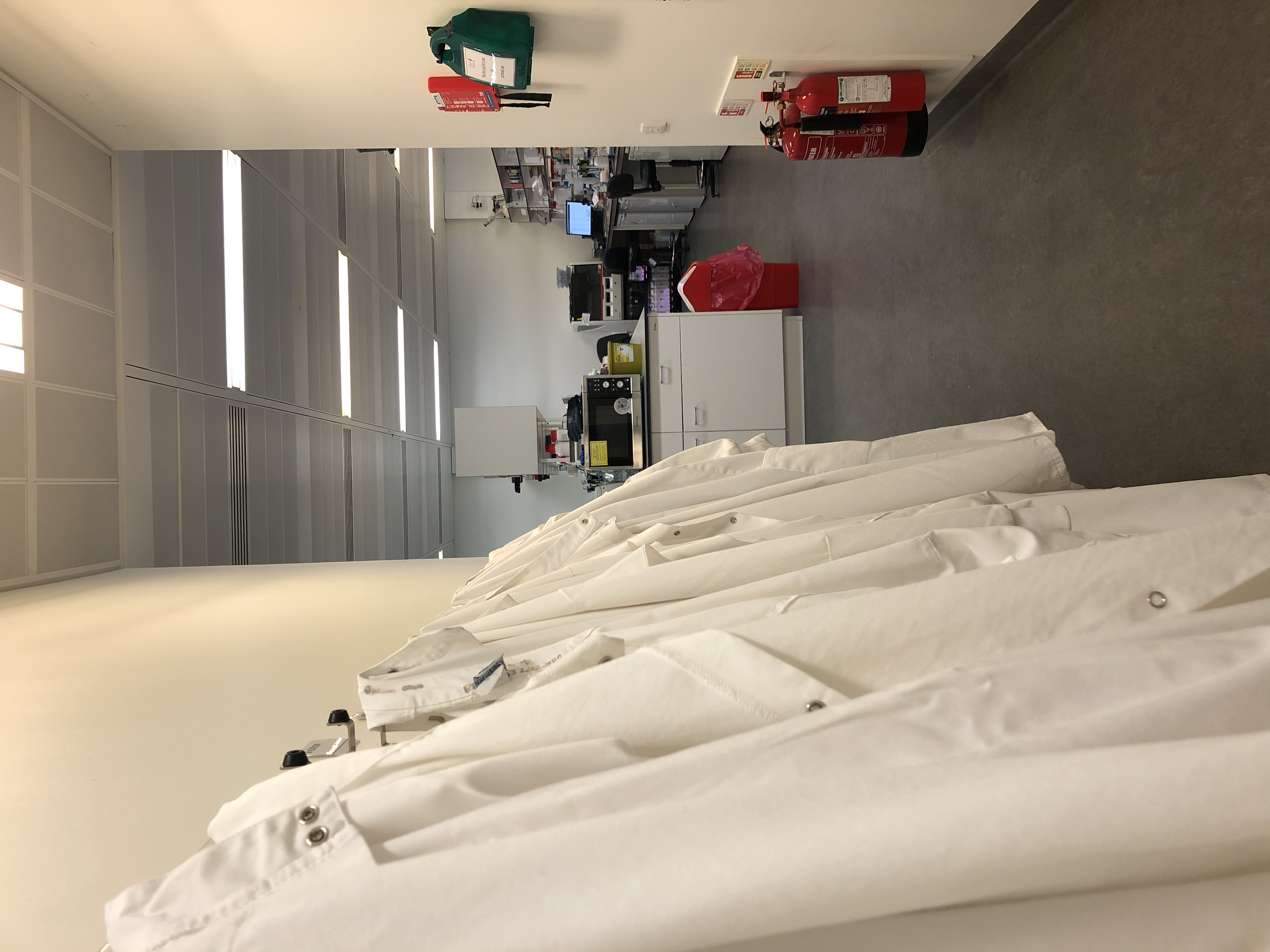 Life in the Laboratory (11/06/2025)