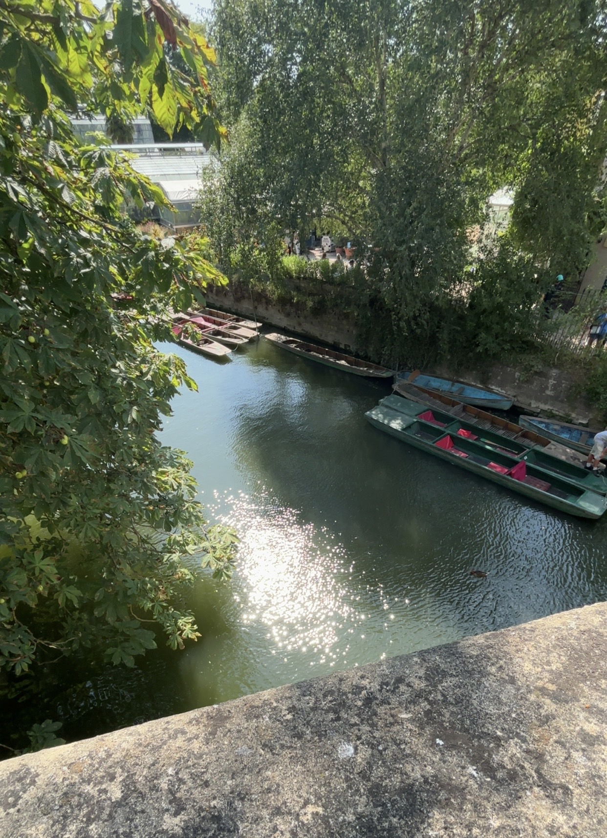 Week 5: Oxford Research Summer 