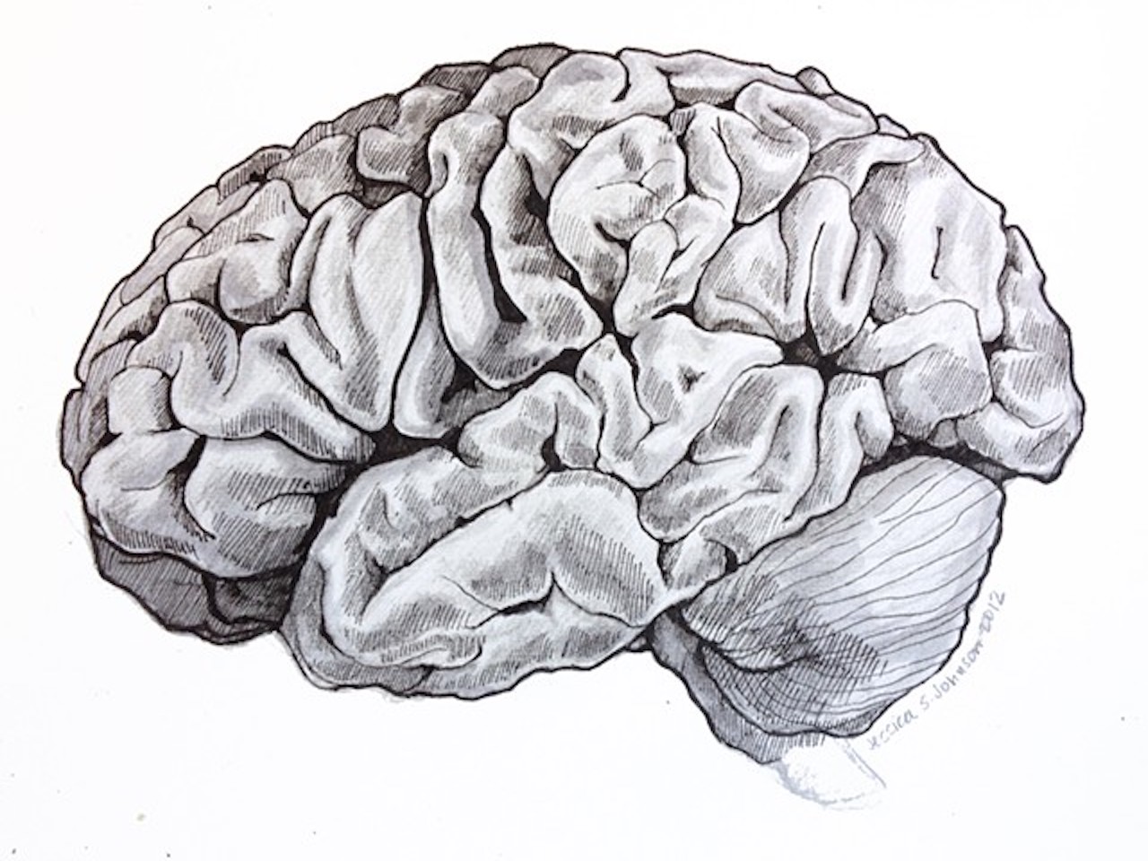 The CommonMind Consortium: A collection of multi-scale omics data in the human brain 