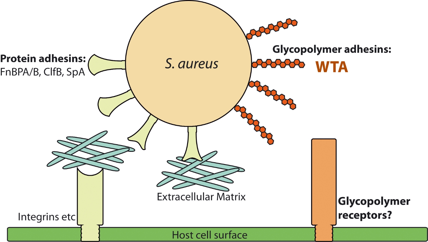 Go to the profile of Christopher Weidenmaier
