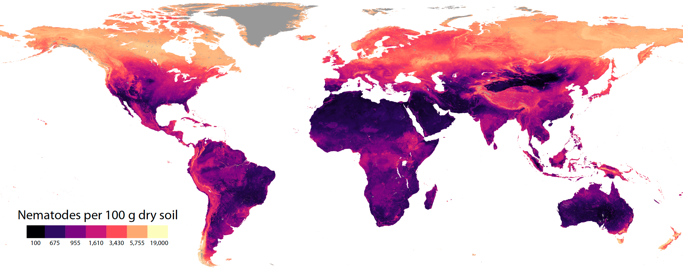 Nematodes uncovered: the most abundant animals on the planet