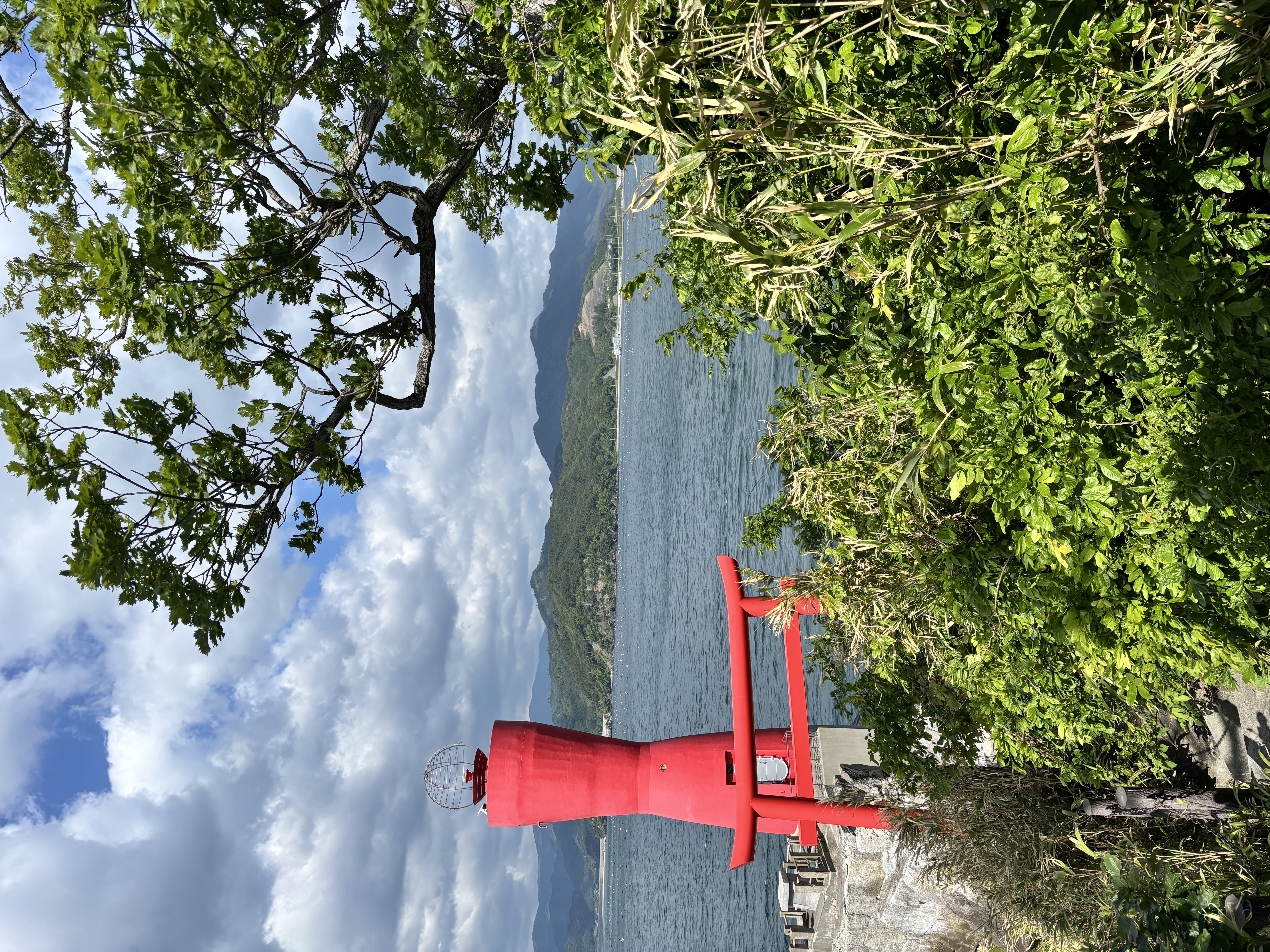 Rain, Rails, and Realities: My intro to Japan