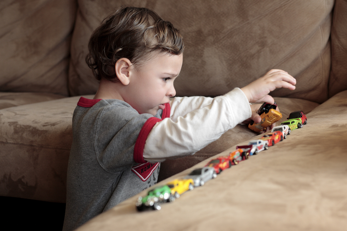 The causes and genetics of autism