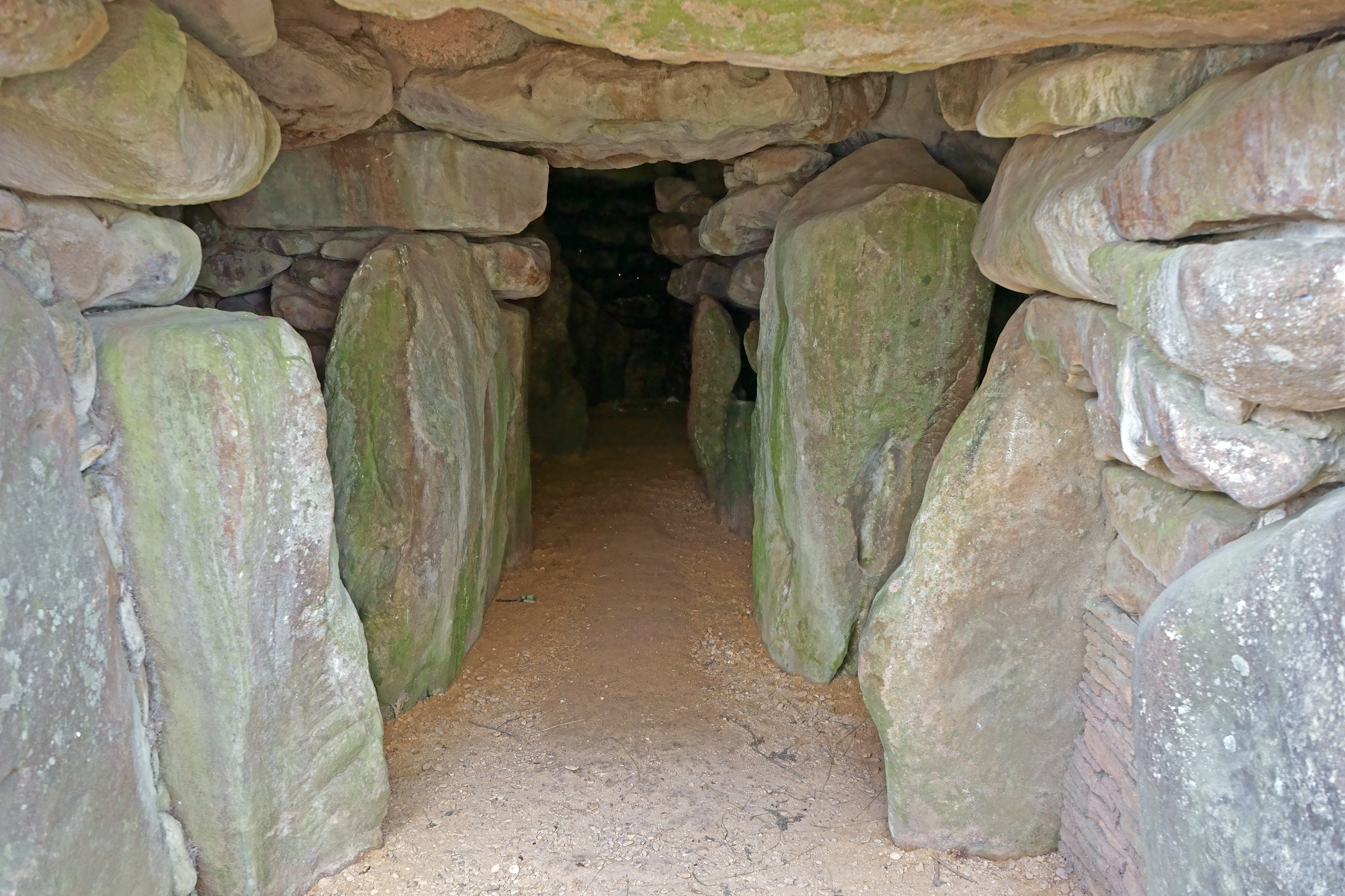 Ancient Genomes Indicate Population Replacement in Early Neolithic Britain