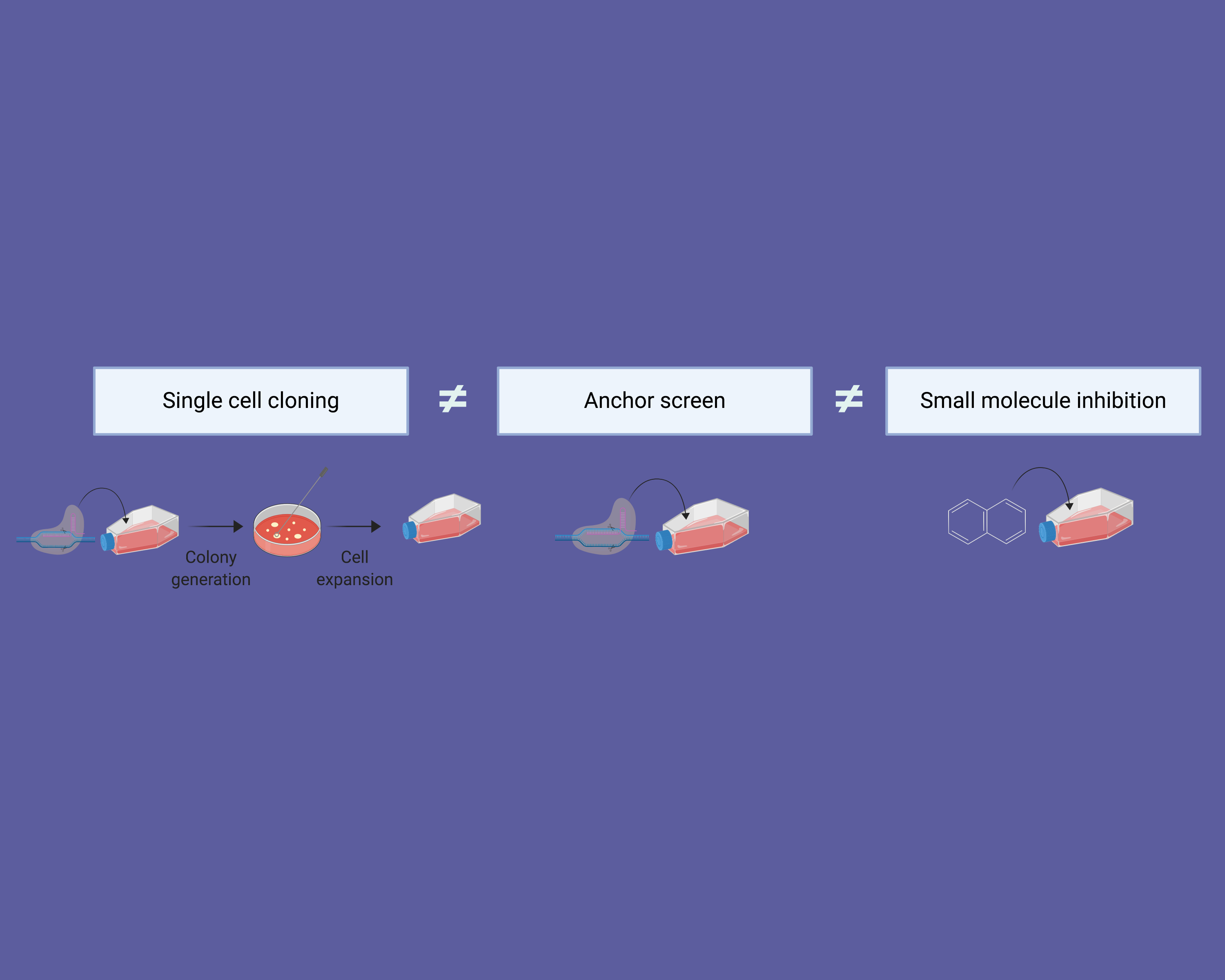 Not all loss-of-function approaches are created equal: differential cellular responses to small molecule inhibition, acute CRISPR perturbation, and chronic genetic knockout