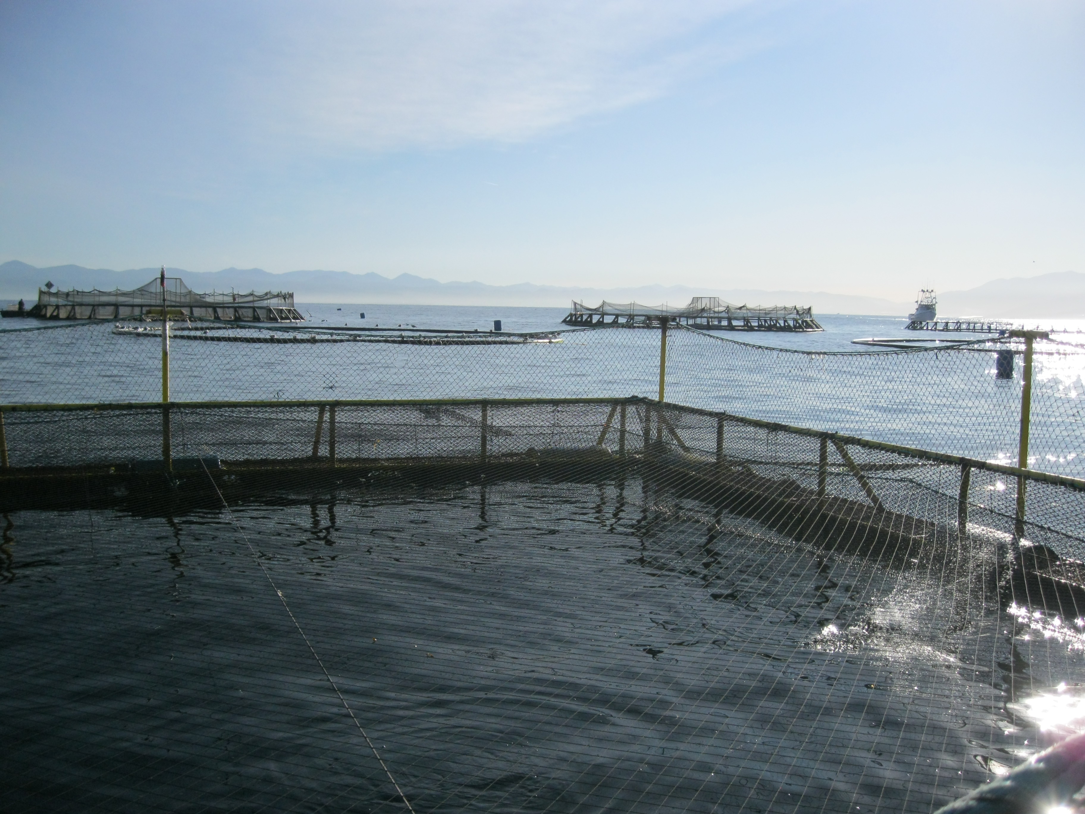 Using Synthesis Science to Map Global Aquaculture Potential