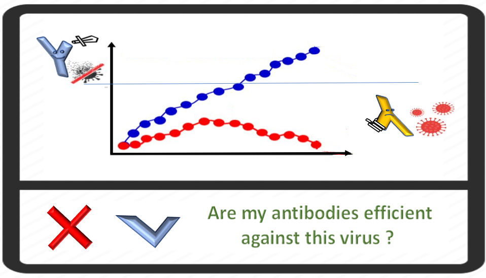 What is your protection against Covid-19 infection?