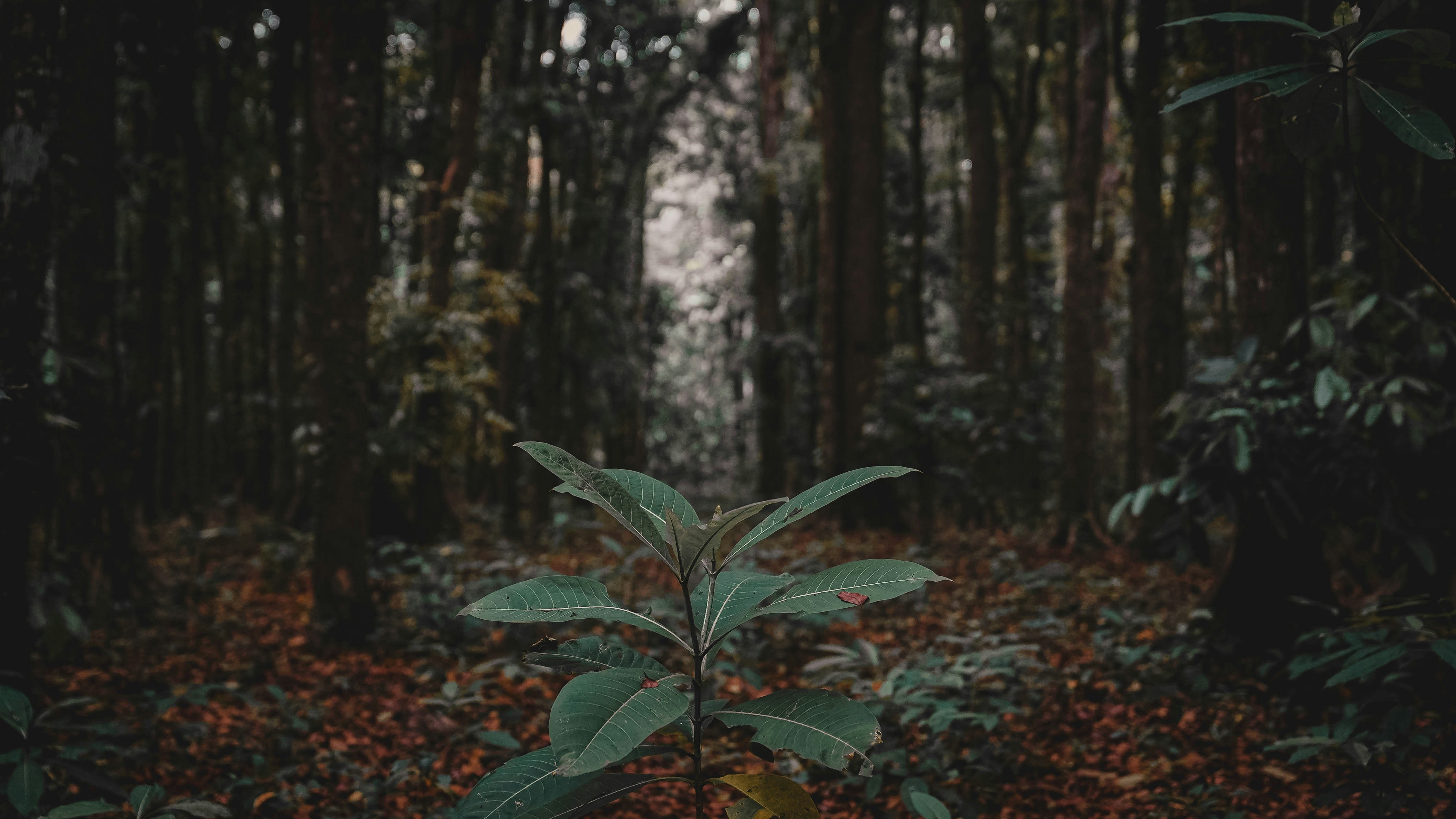 Bridging the gap between disciplines for better conservation with Tyler Pounds 🌿🔬🤝