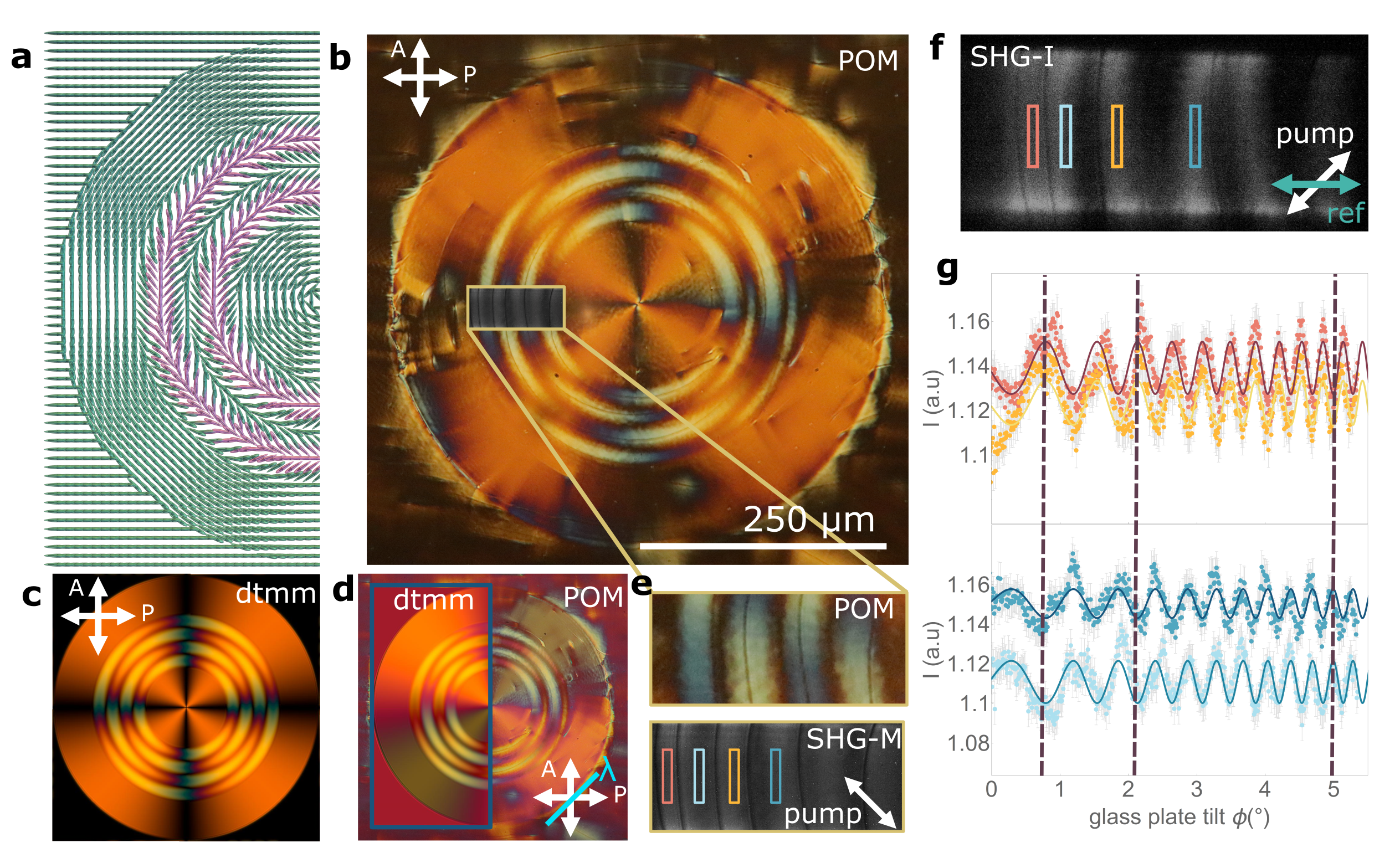 Polarization patterning in ferroelectric nematic liquids via flexoelectric coupling