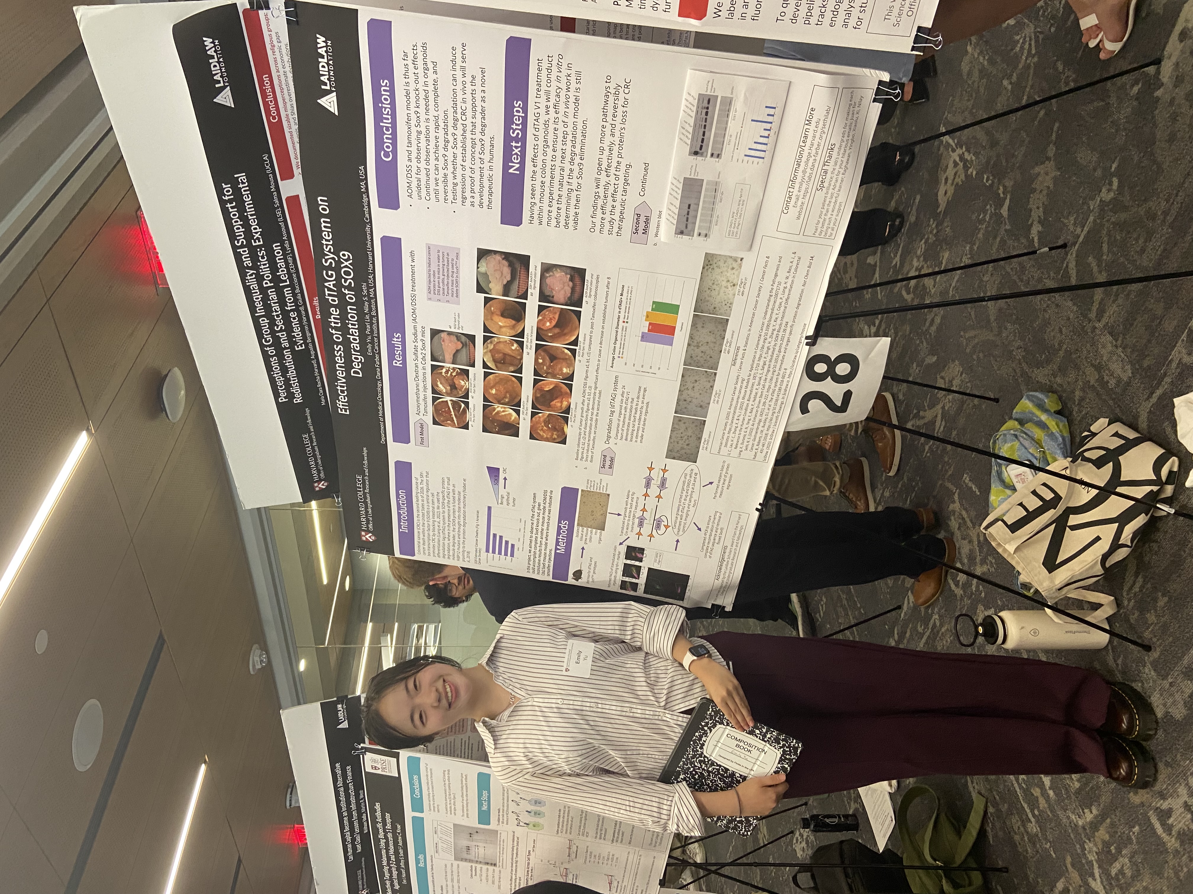 dTAG, you’re it! Summer Research 2026