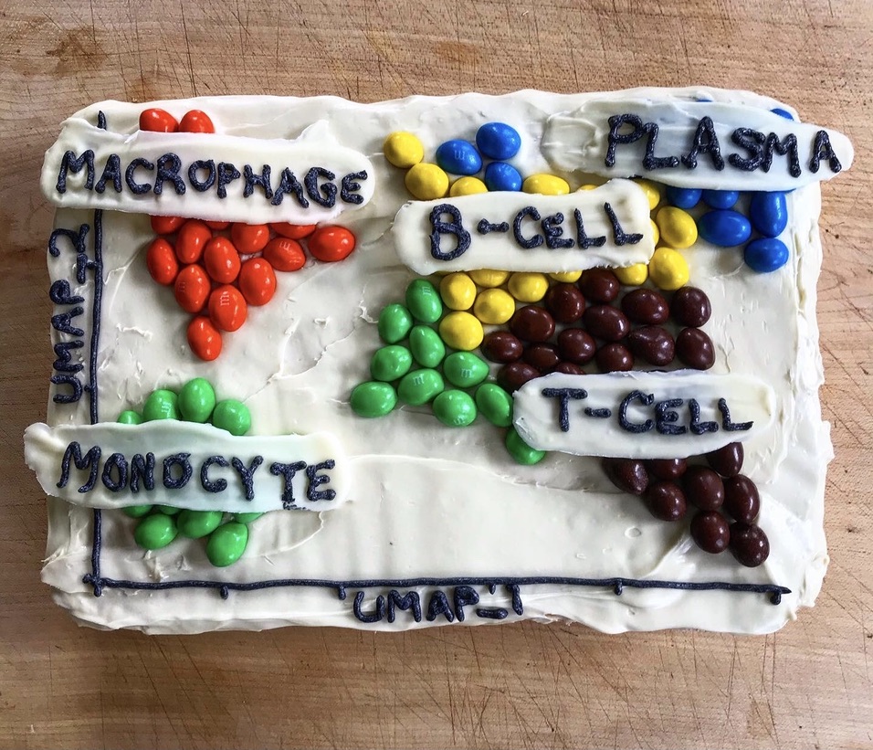 Filling in the map: A roadmap to annotating single-cell datasets