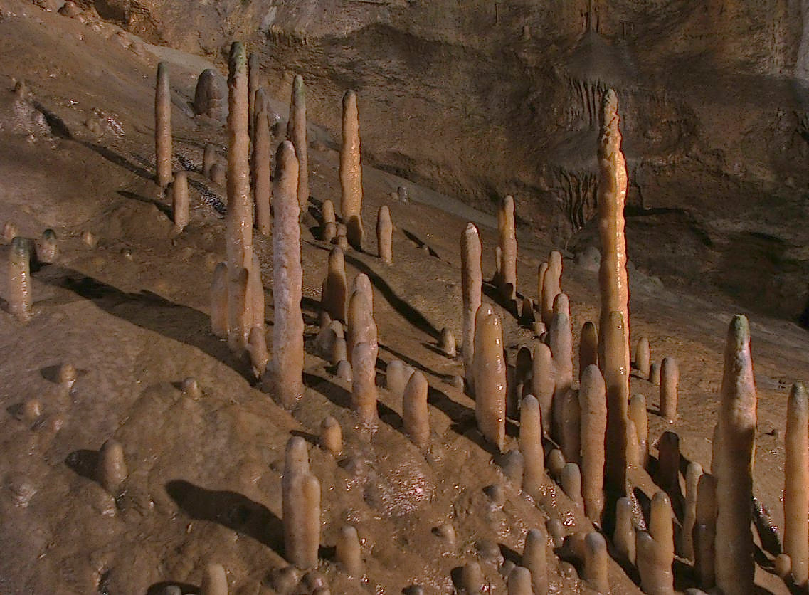 Fossils of rainwater: reading stories from the stalagmites