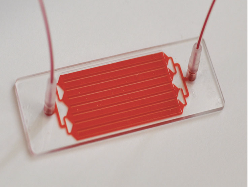 From Cancer to COVID: Returning to the Bench with the Same Chip but a New Target
