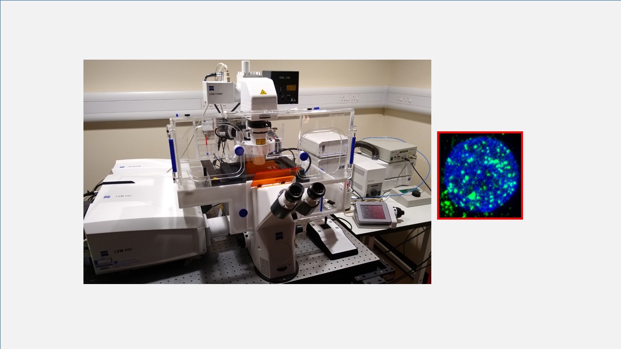 Keeping splicing factor mutations in the loop