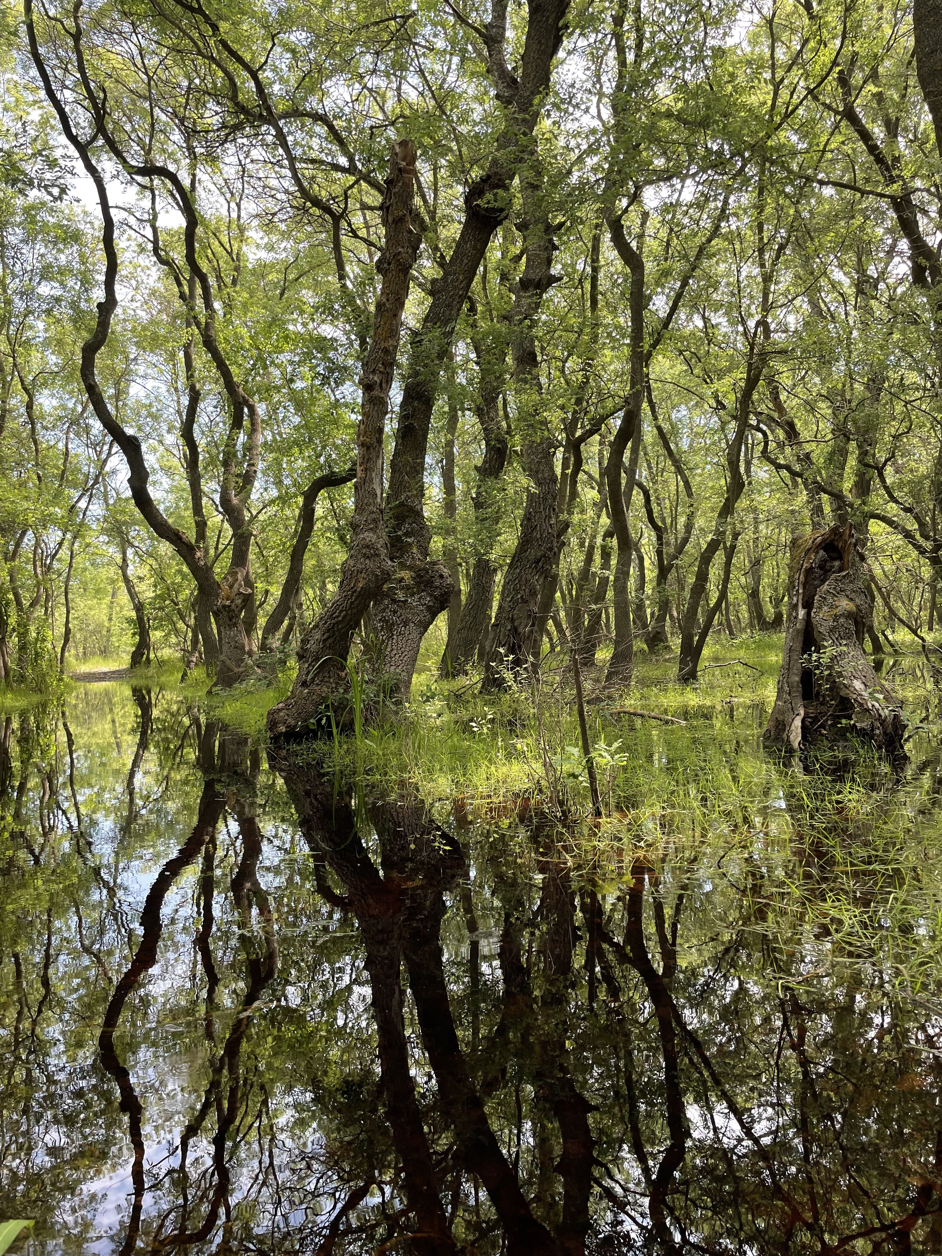 A PhD journey to assess the effectiveness of biosphere reserves worldwide
