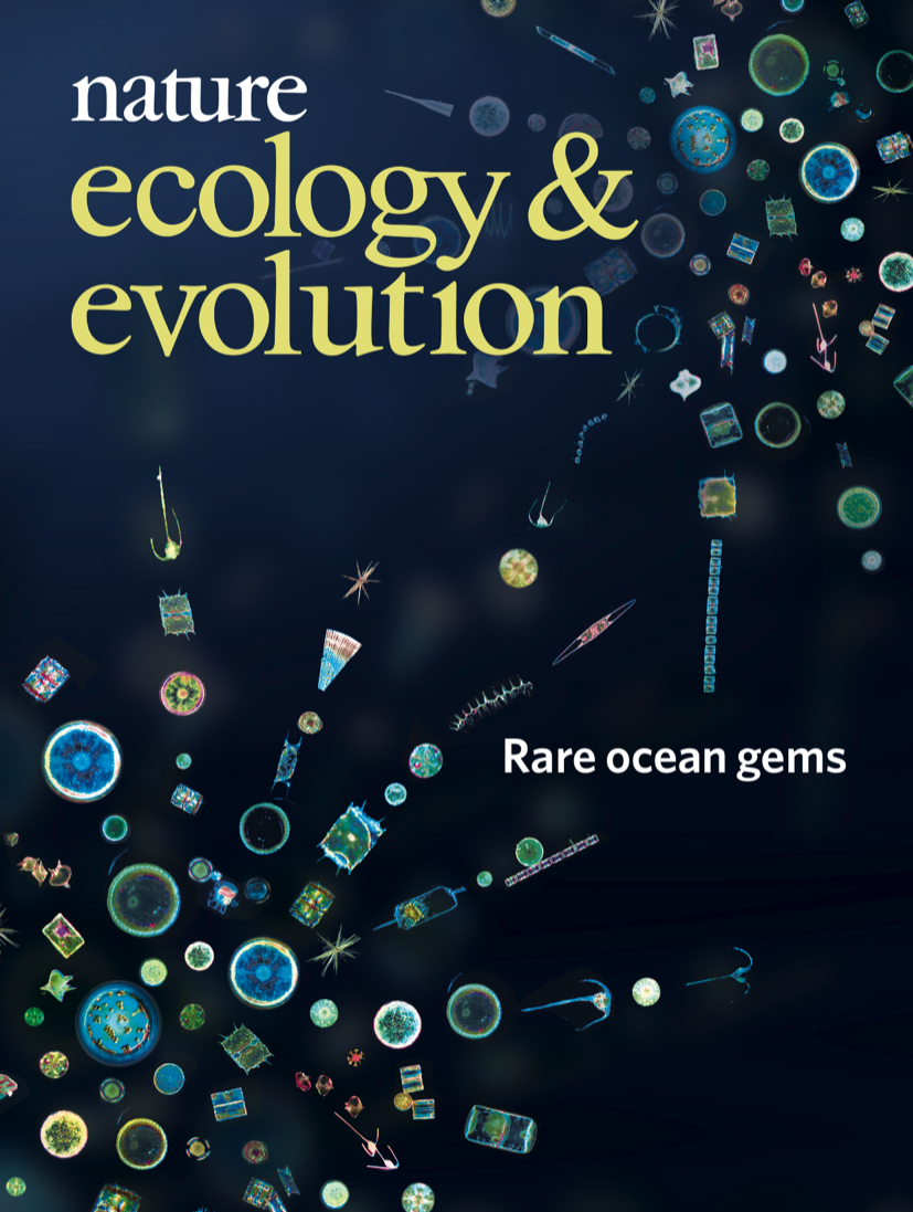 Gallery | August 2018 cover