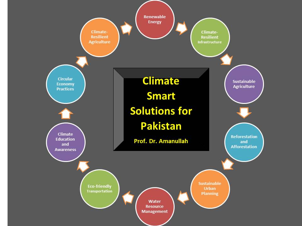 Pakistan’s path to sustainability: Advancements  in cleaner production, a circular economy, and  climate-smart solutions 