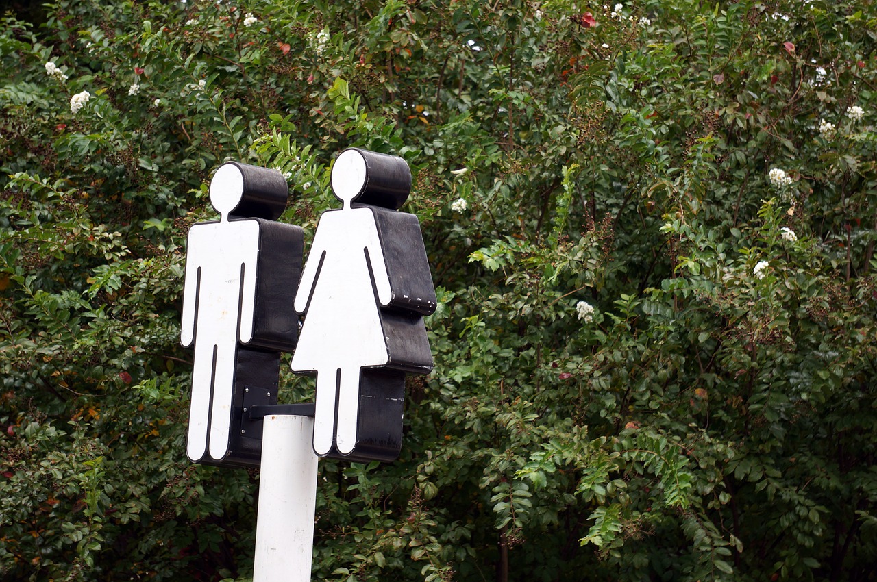 A bug in the sySTEM:  the gender gap in science 