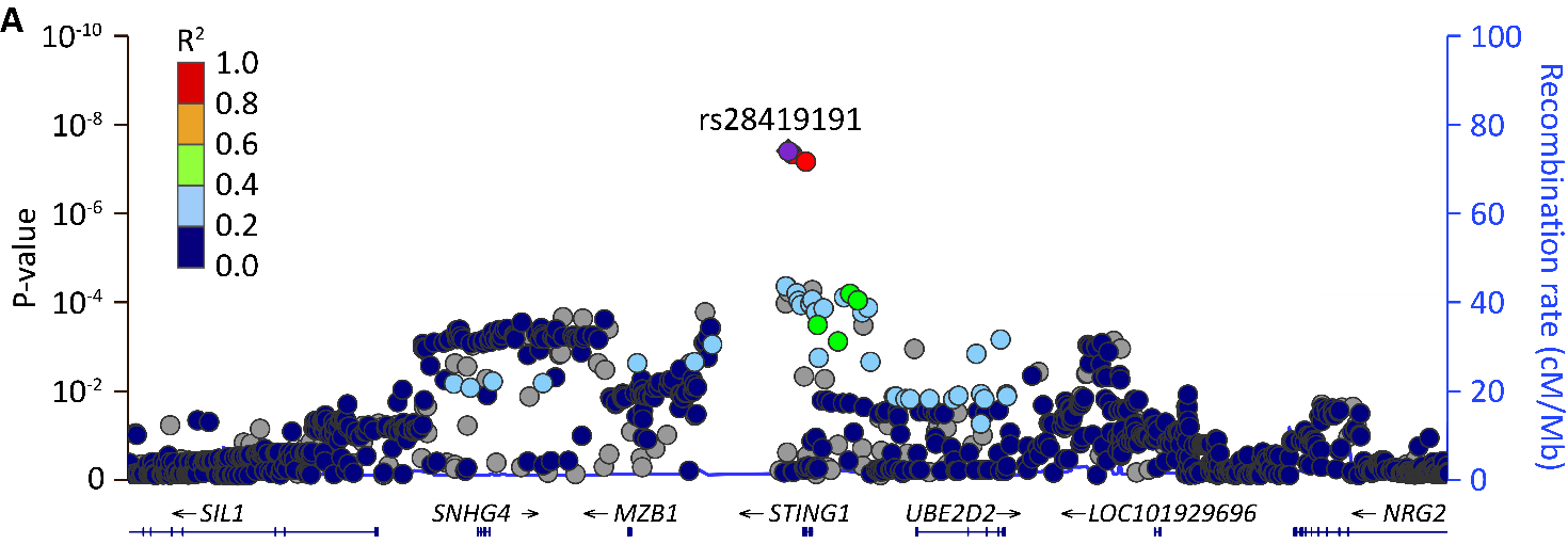 A Radiogenomics GWAS in Head-and Neck Cancer