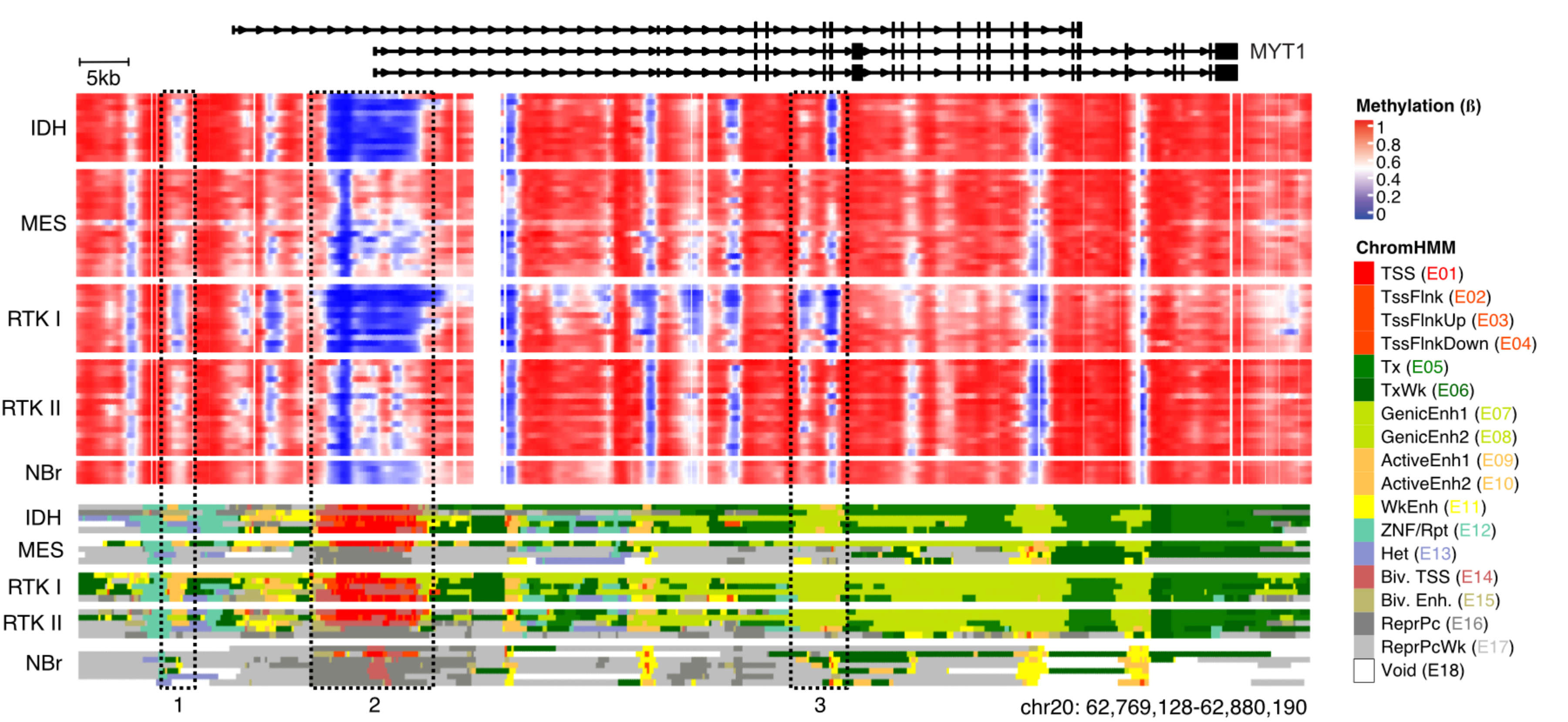 Swimming in a sea of data