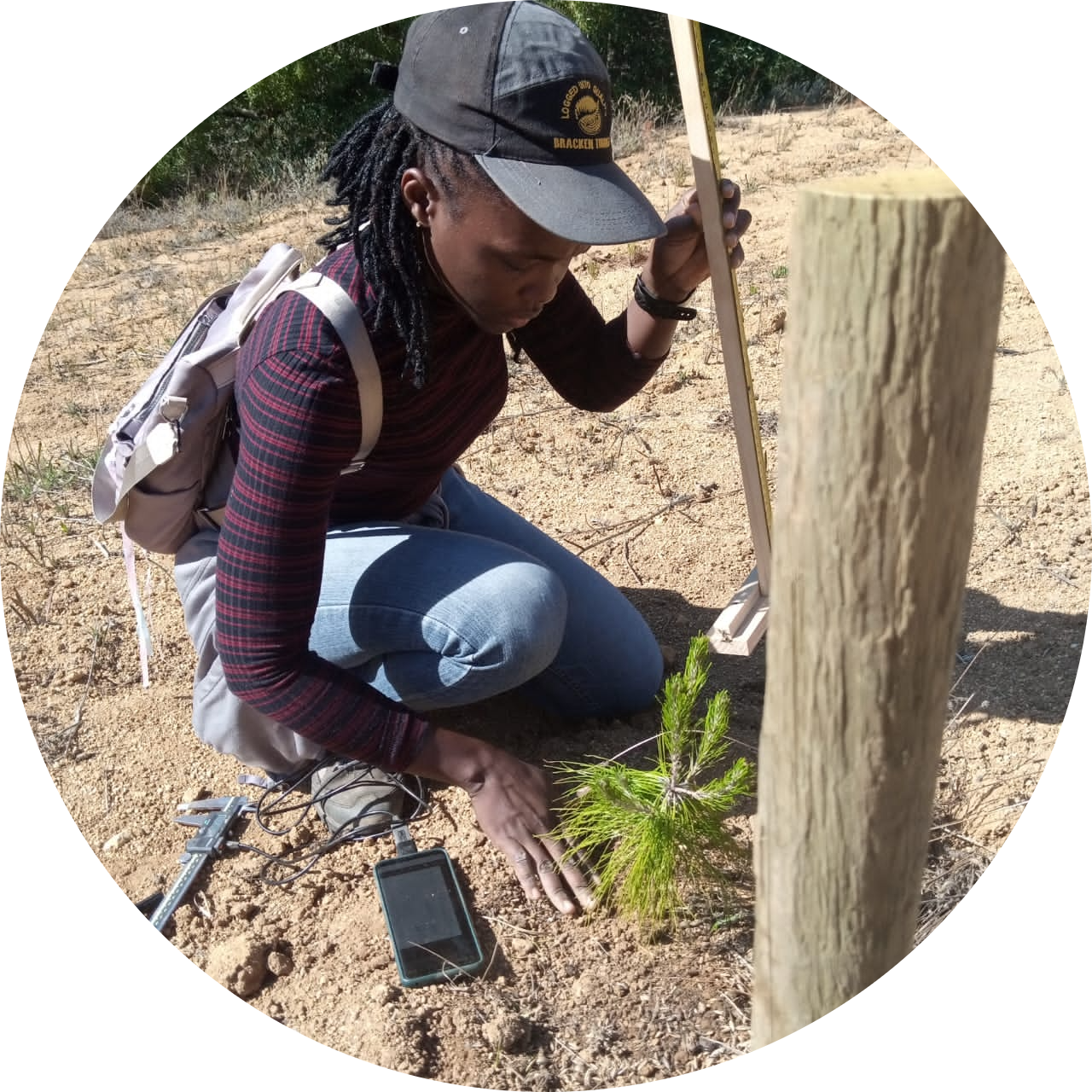 Go to the profile of Scovia Akello