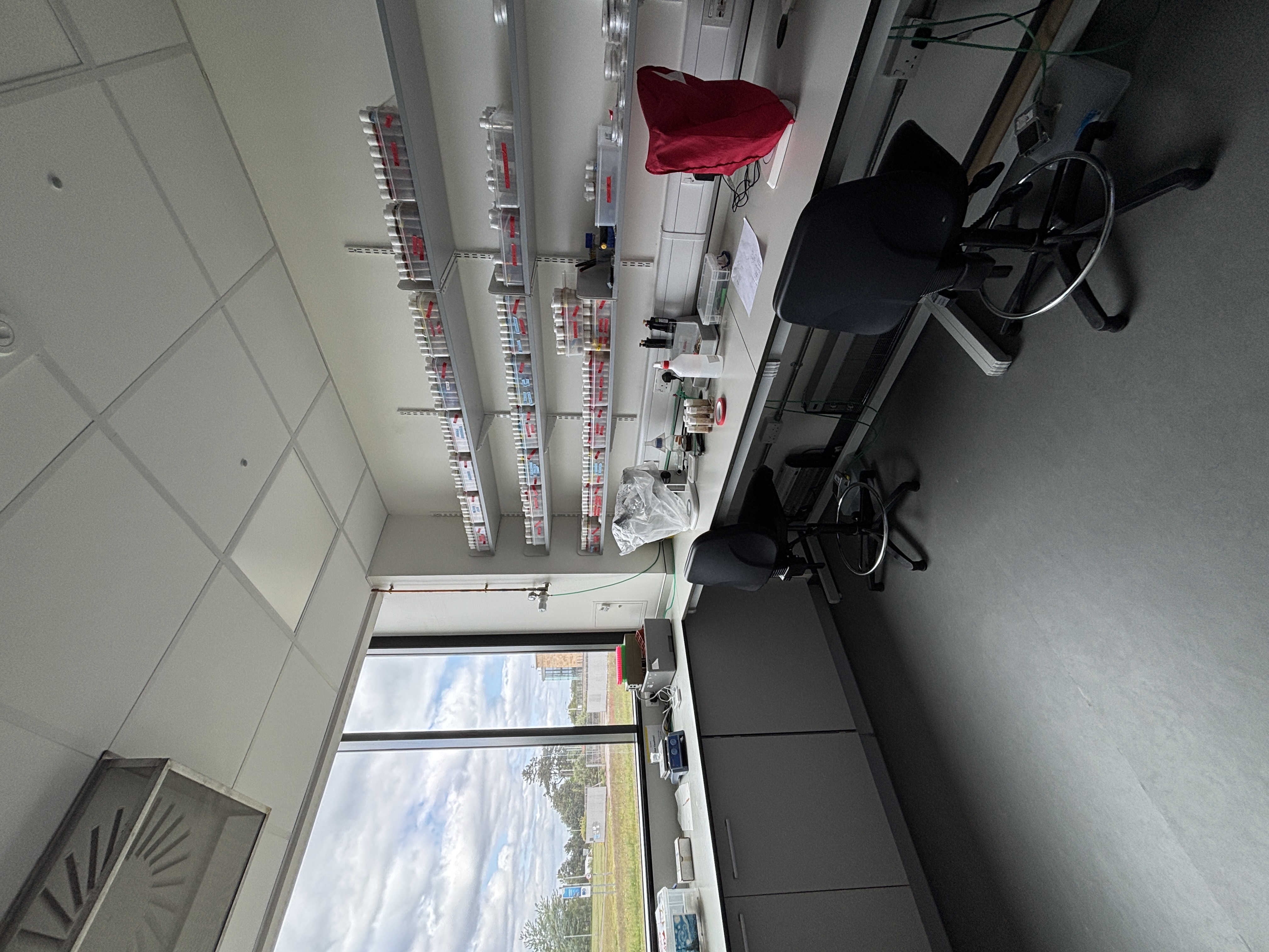 At the Scalpel's Edge - Week 1
