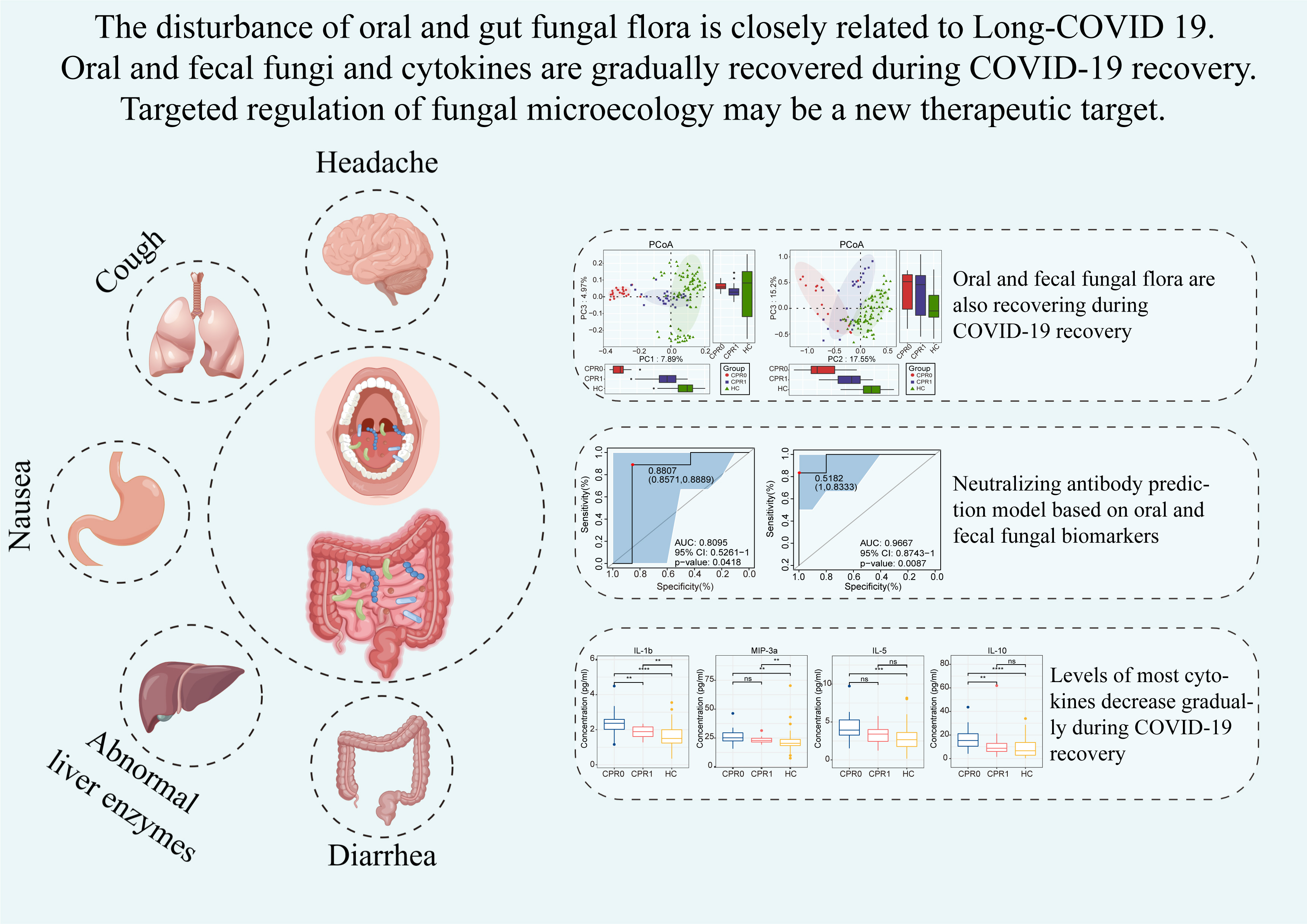 Oral and gut fungal flora are also recovering during COVID-19 recovery