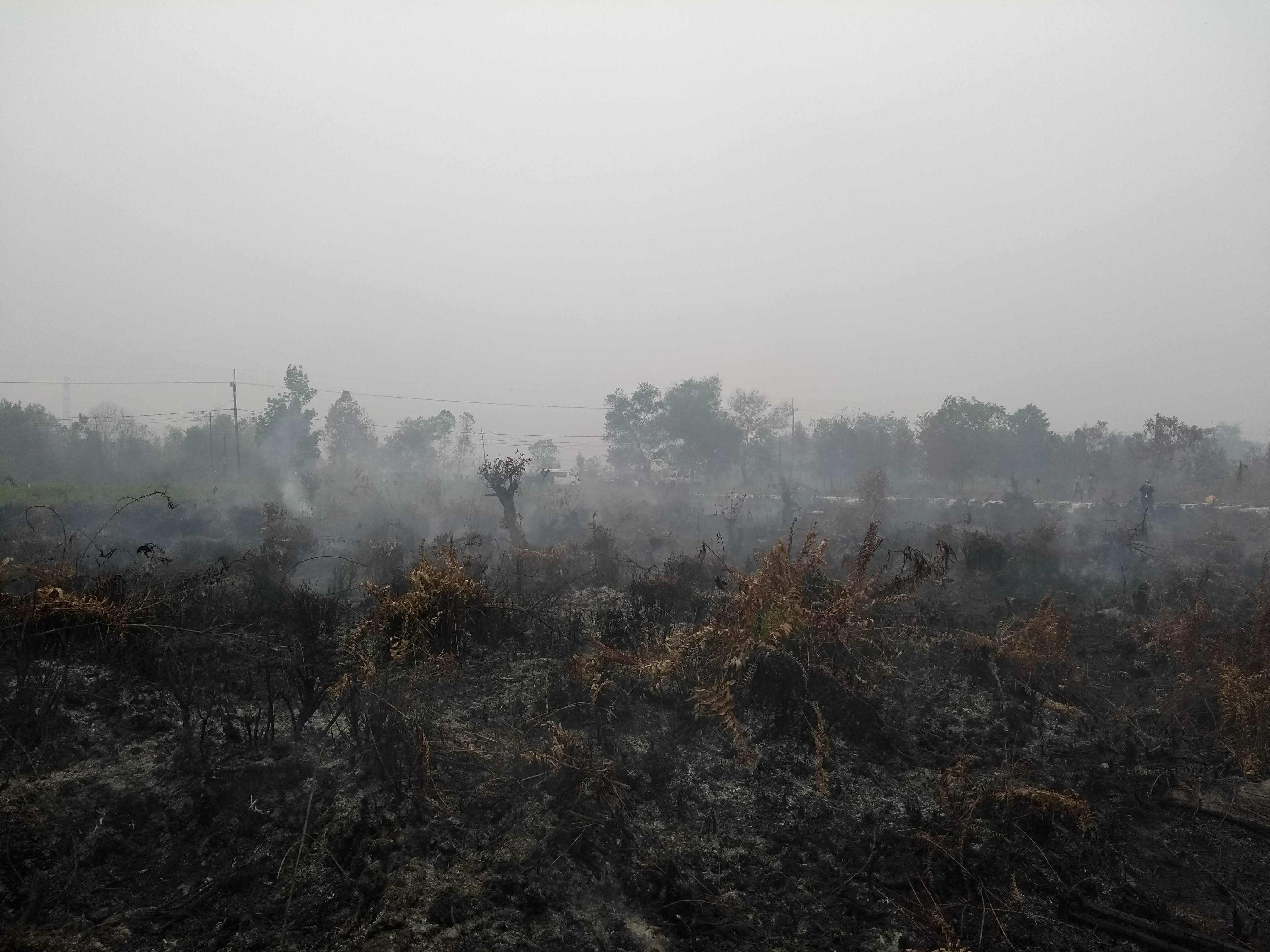 Assessing air quality impacts of peatland fire smoke in Indonesia