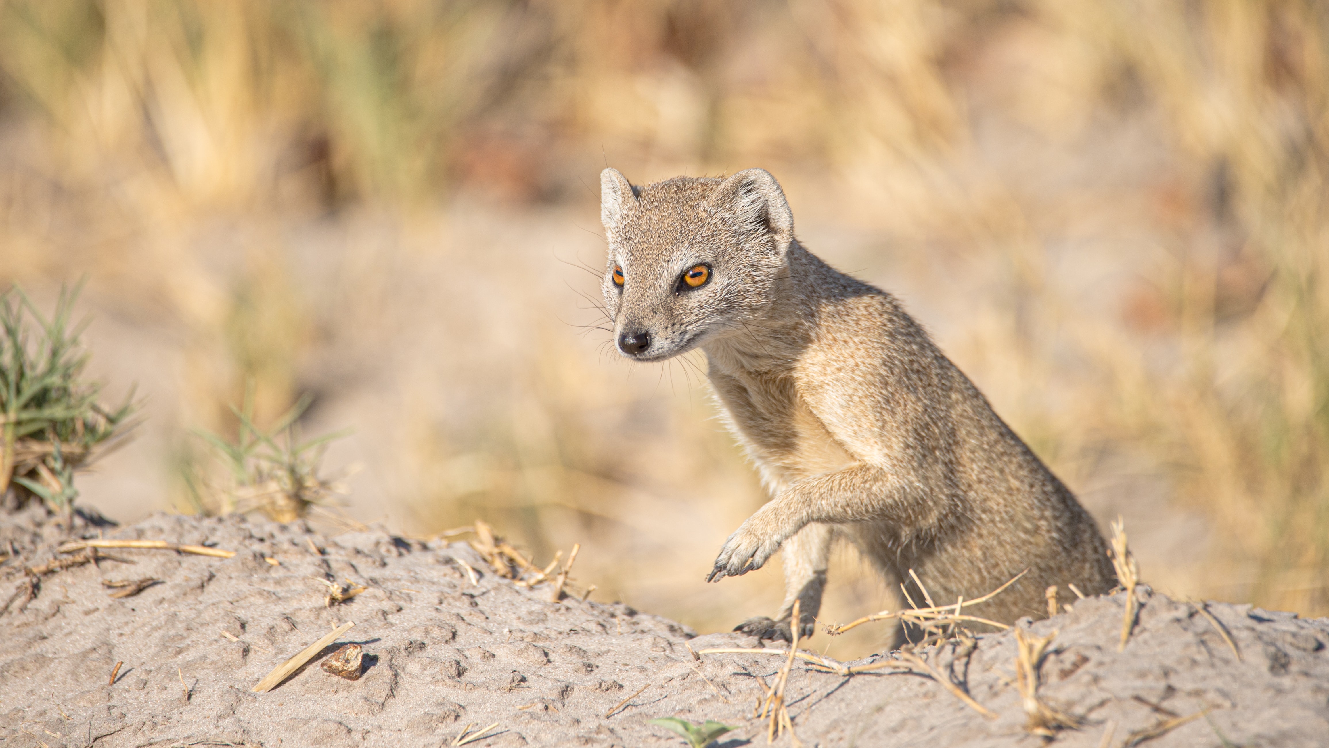 A journalist’s tale of nature as inspiration