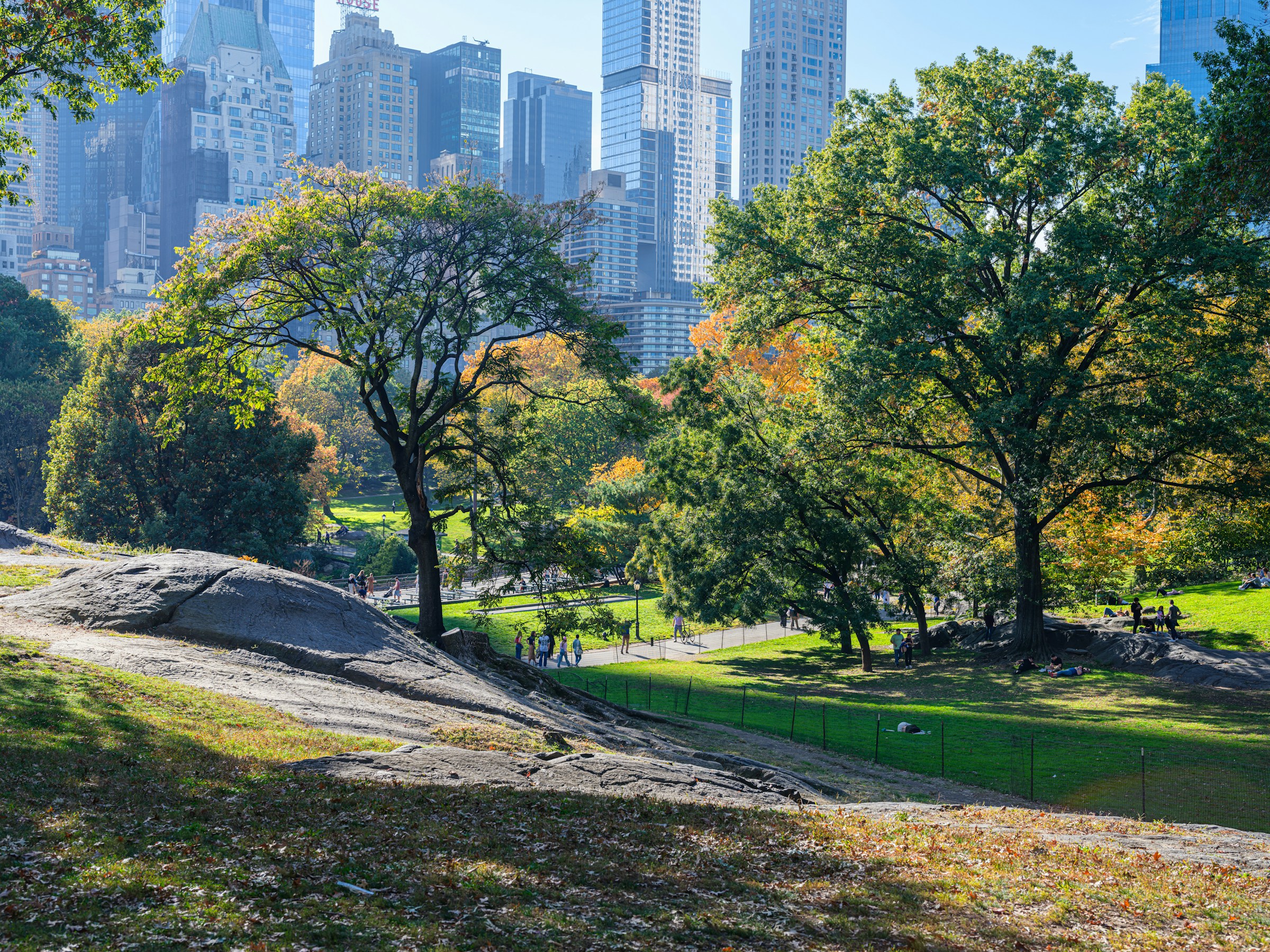 A Walk in the Park? Not for Everyone: Addressing Inequality in Access to Social, Environmental, and Health Amenities in US Urban Parks