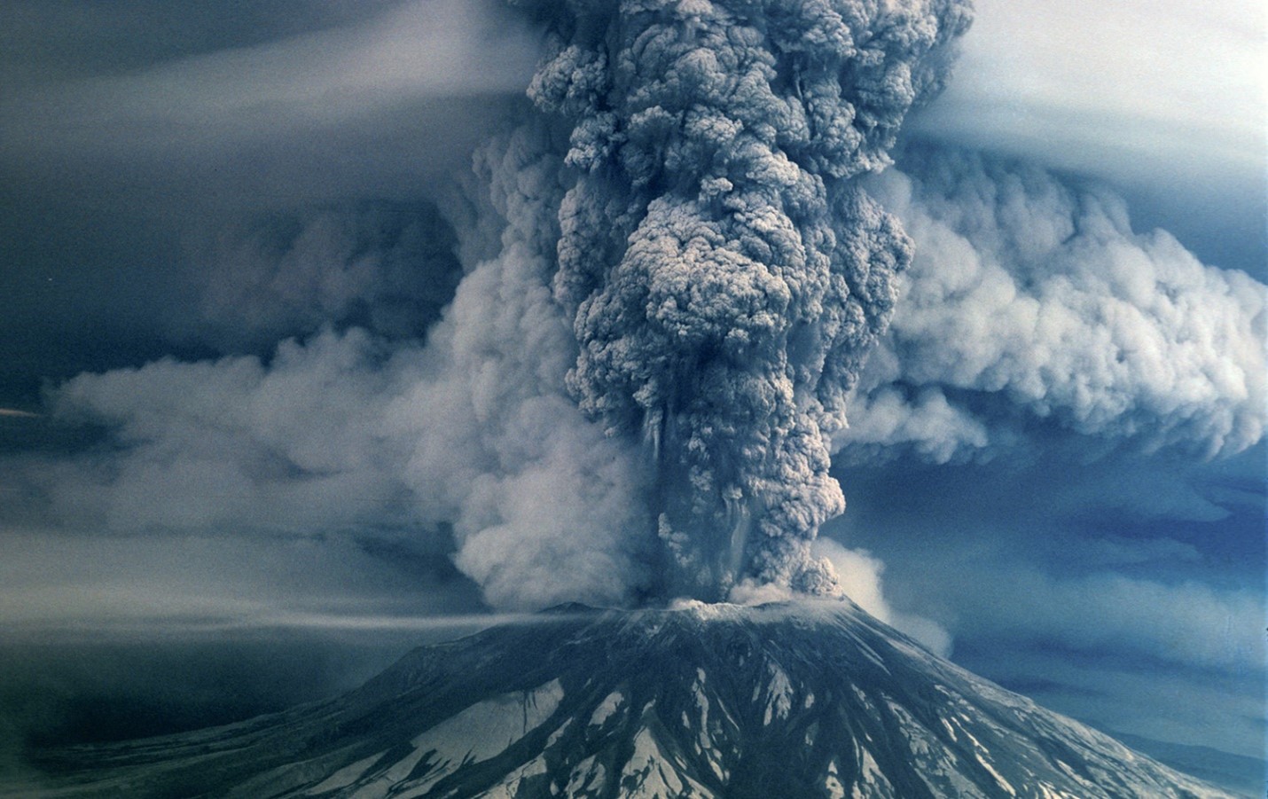 The storytelling trees on Mount St. Helens