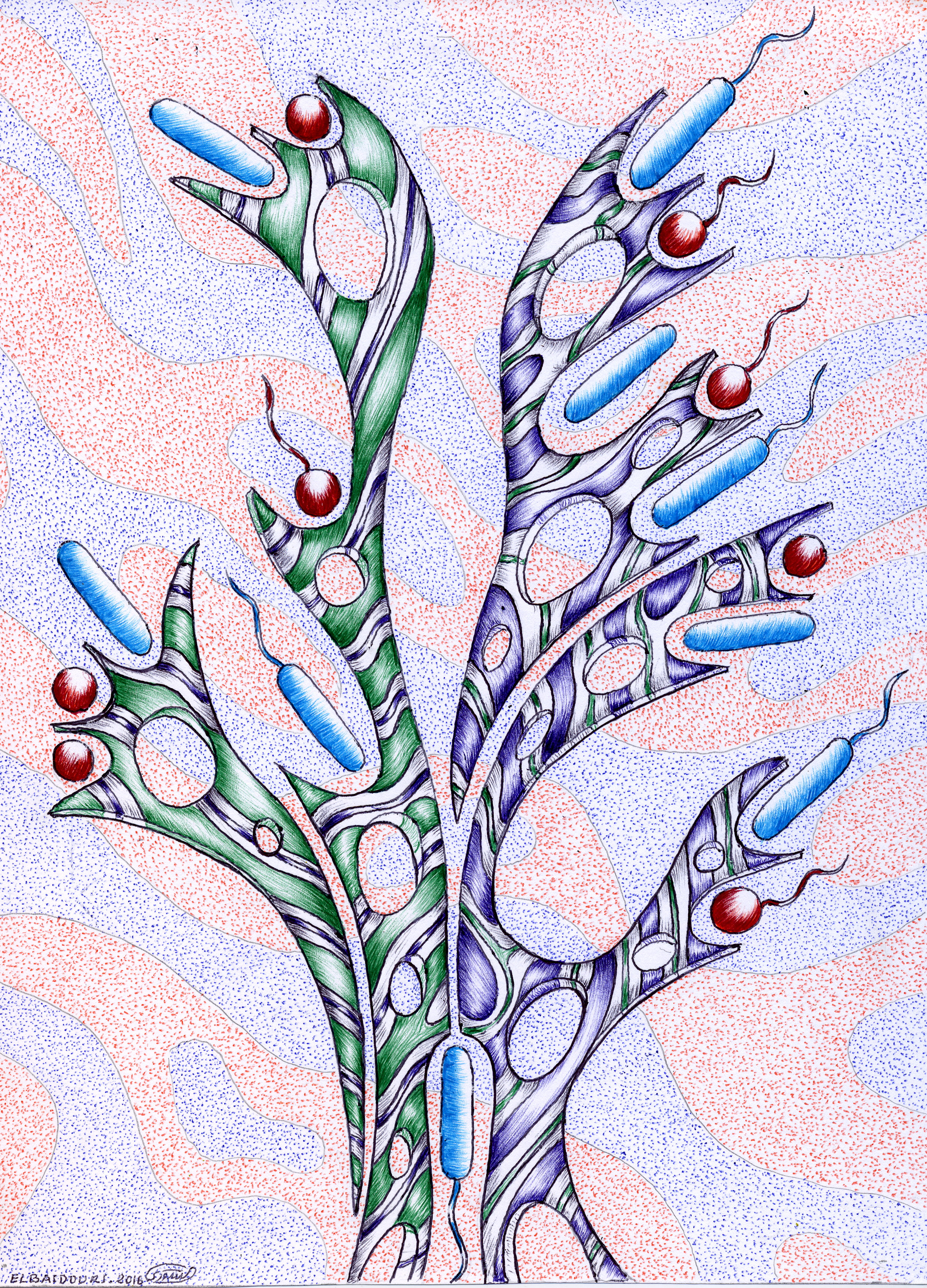 Illustrating the evolution of bacterial shape and motility