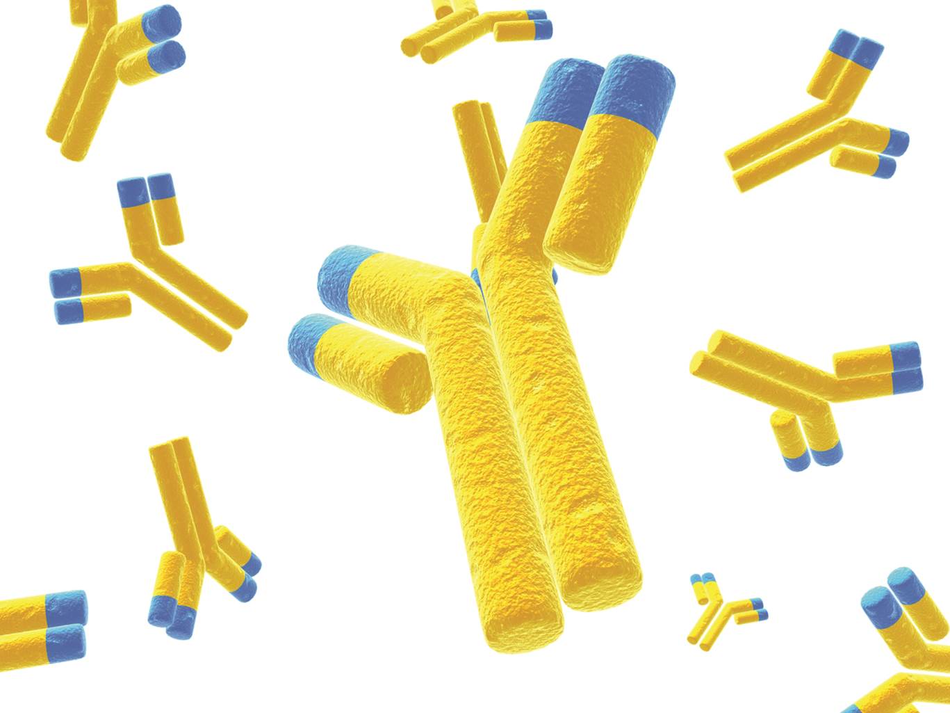 Influenza vaccines—not all about neutralization