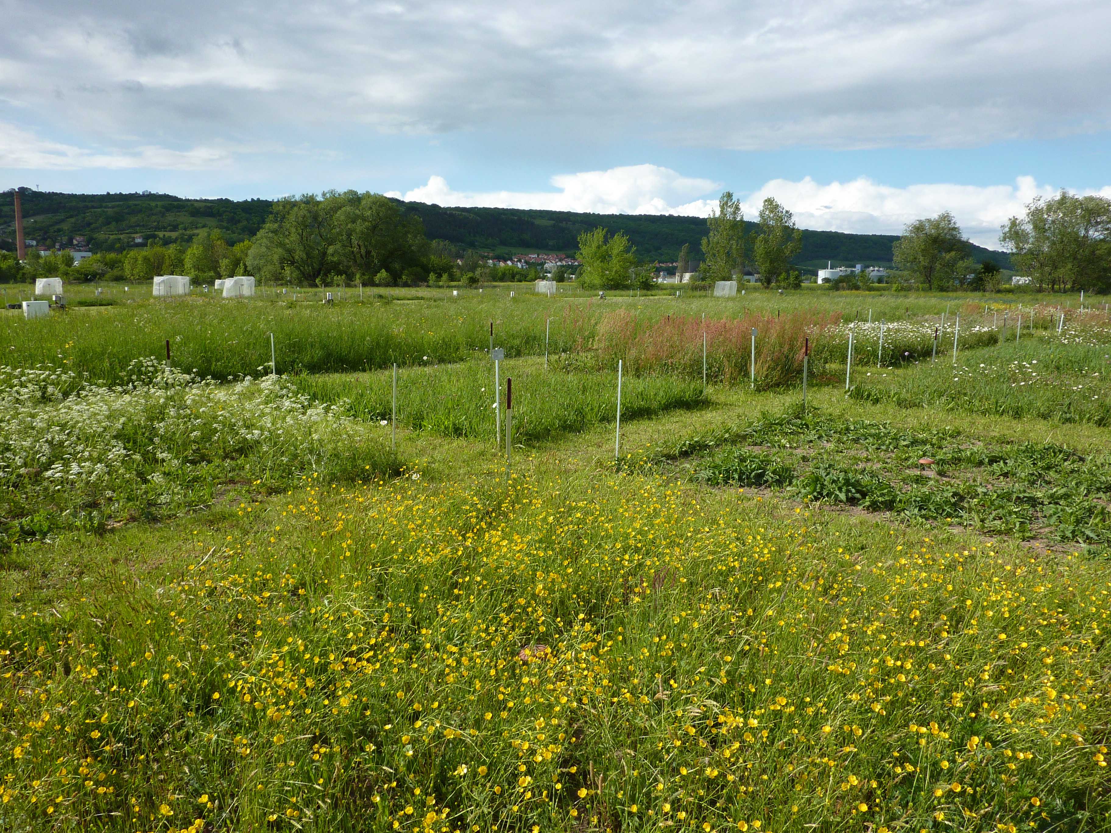Ecological synthesizing, and the multiple drivers of stability
