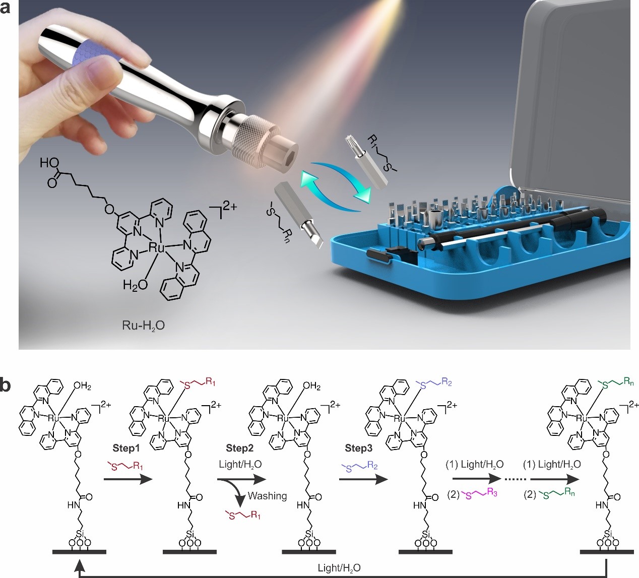 Reconfiguring surface functions using visible-light-controlled metal-ligand coordination