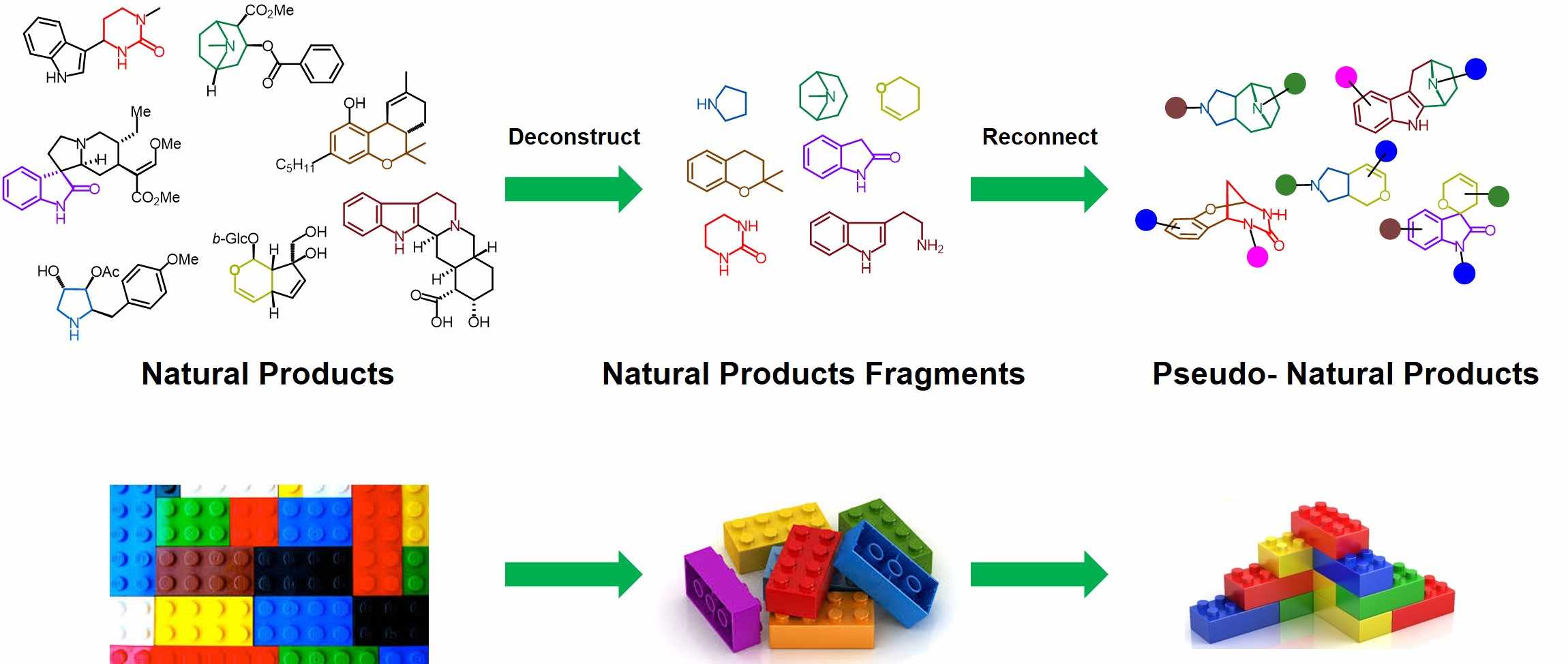 Instructions for nature's LEGO Bricks