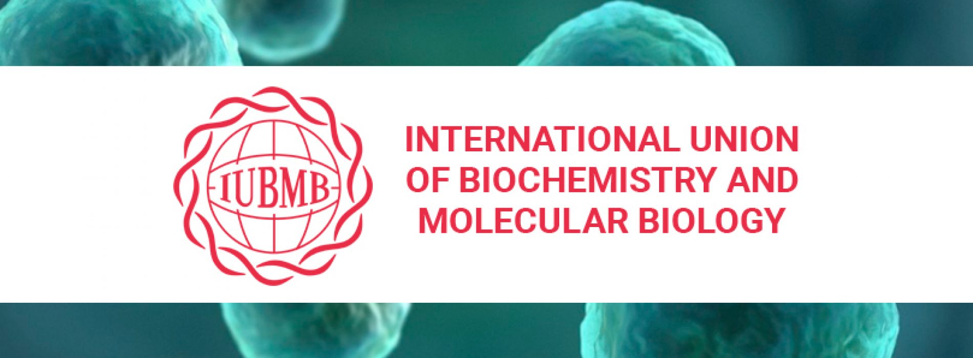 Consuelo Guerri has been selected for the IUBMB Life editorial committee