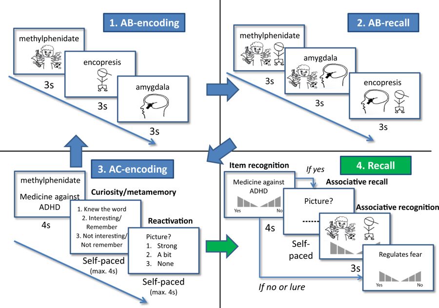 Editorial Summary—Integrating educational knowledge: reactivation of prior knowledge during educational learning enhances memory integration