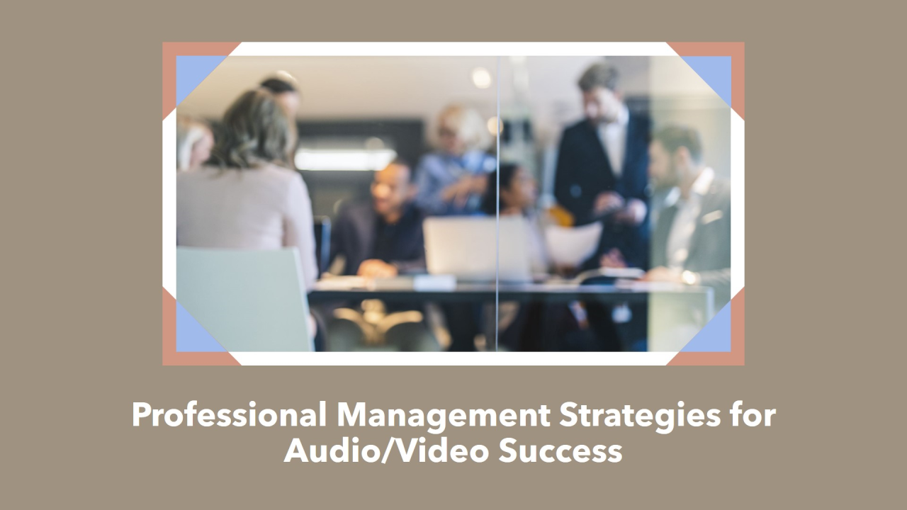 Strategies for Success in the Audio/Video Industry: A Professional Management Perspective