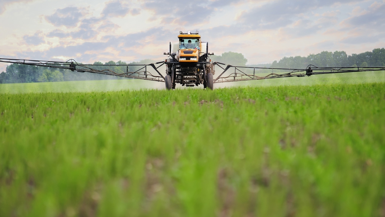 Herbicide-resistant 'superweeds' - how much are they costing us?