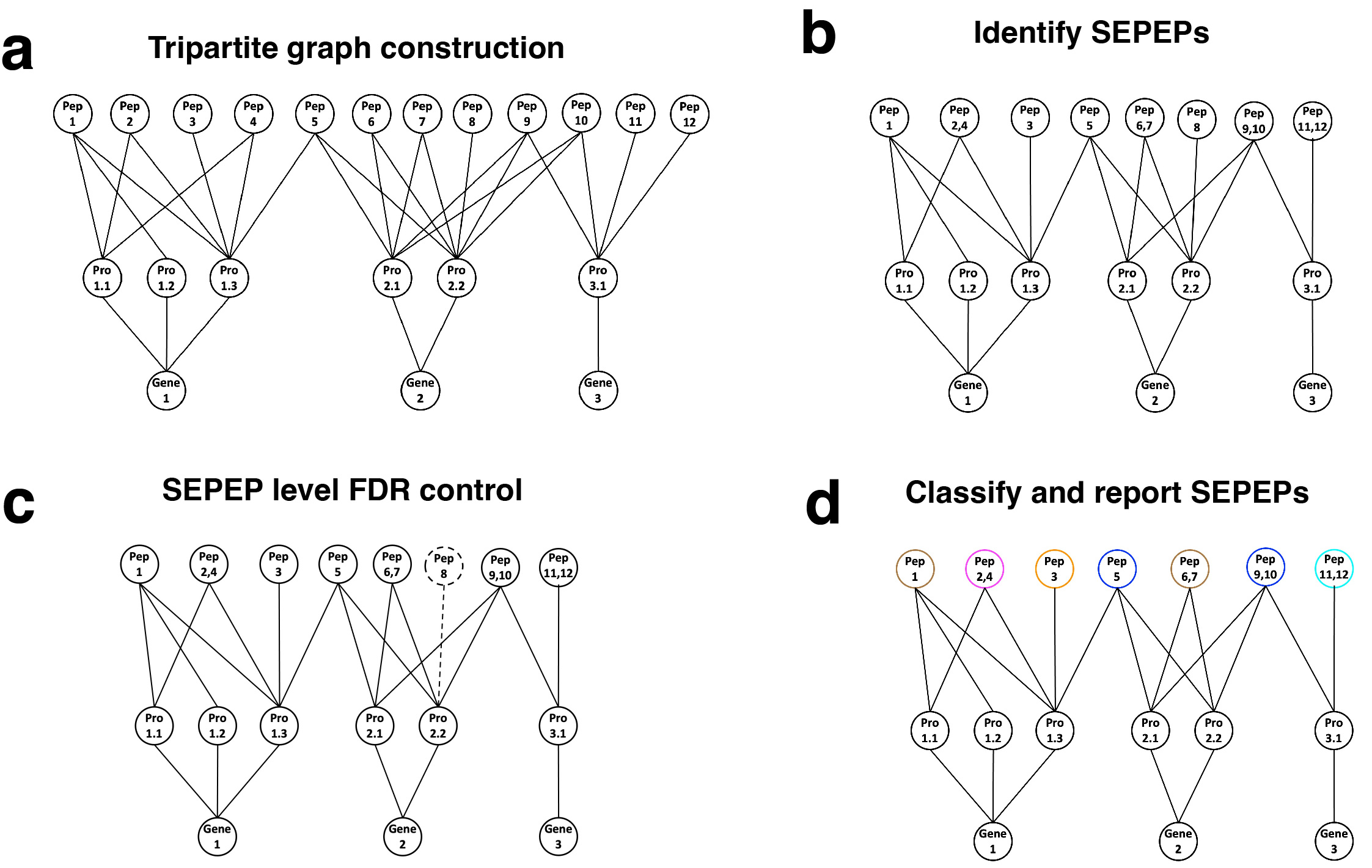 A leap on protein isoform quantification in shotgun proteomics