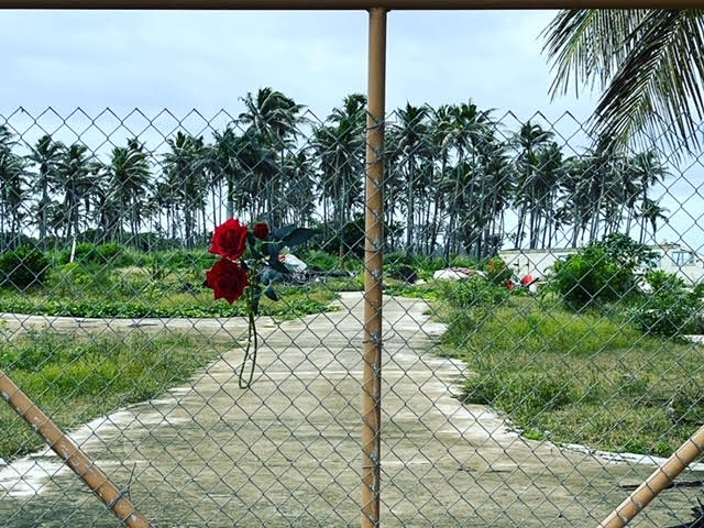 Islands of Resilience: lessons from Tonga