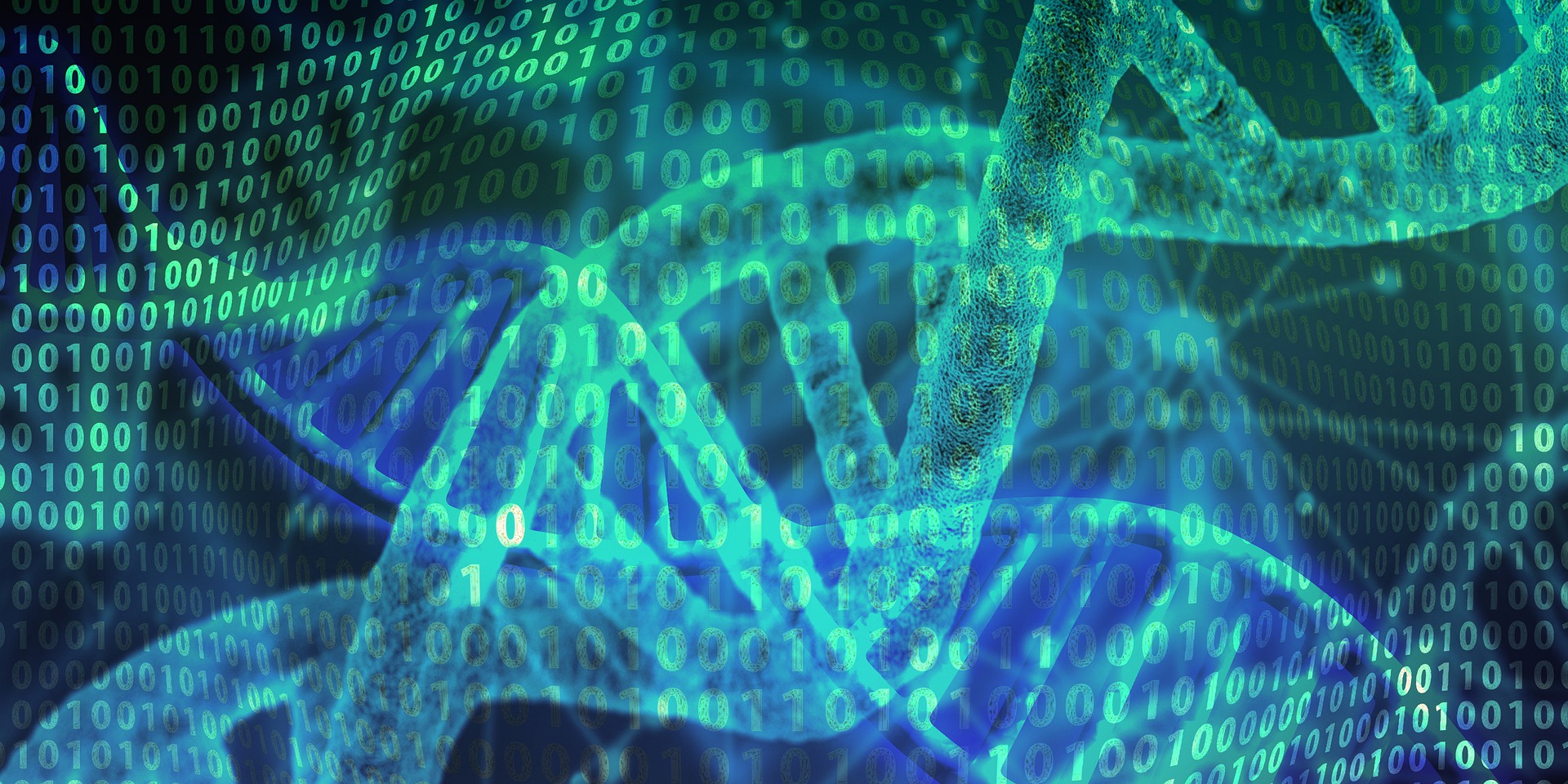 Celebrating National DNA Day: Population Genomics