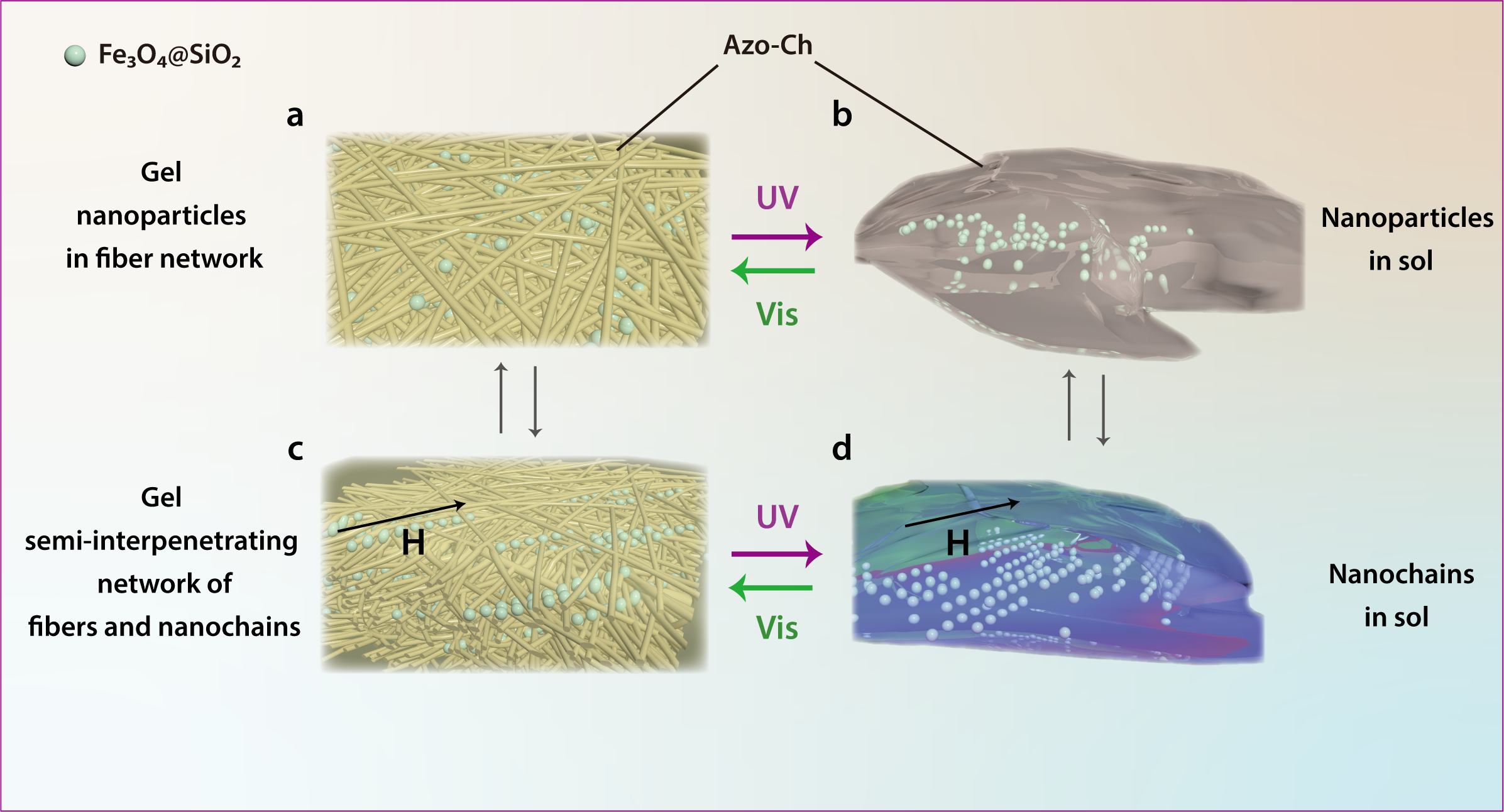 Organic‒inorganic semi-interpenetrating networks with orthogonal light- and magnetic-responsiveness for smart photonic gels