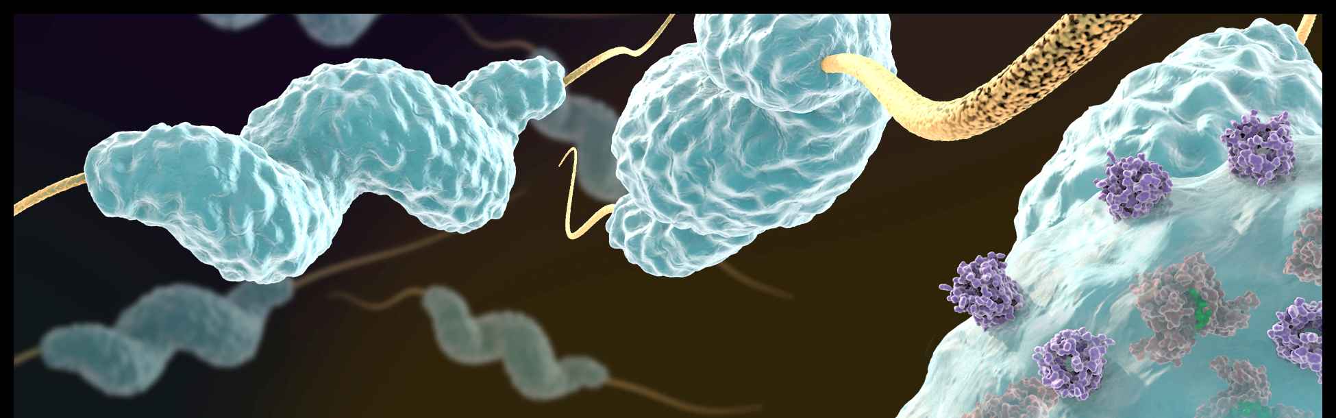 Would you volunteer to have a bacterial infection?