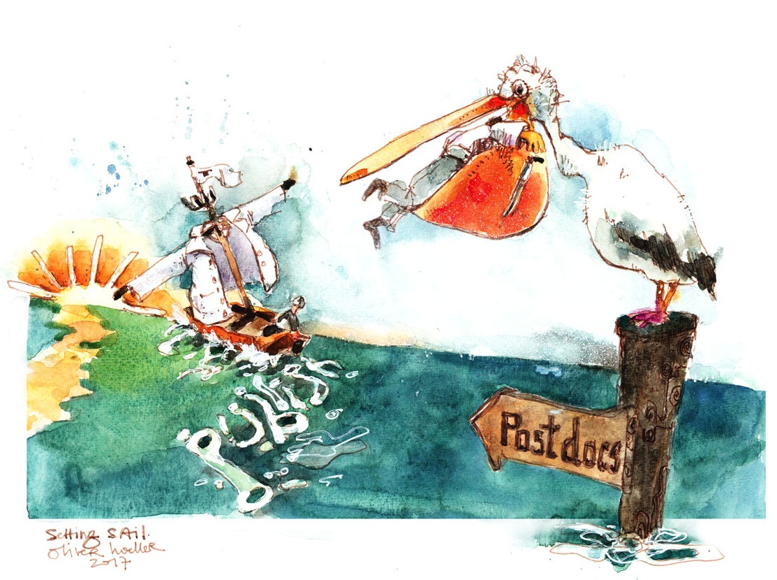 Setting sail (a short guide to choosing a postdoc in academia)
