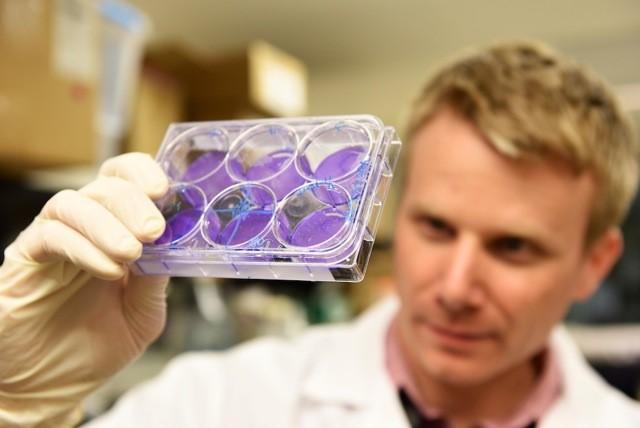 Researchers Discover New Immunotherapy Combination Effective At Killing Cancer Cells